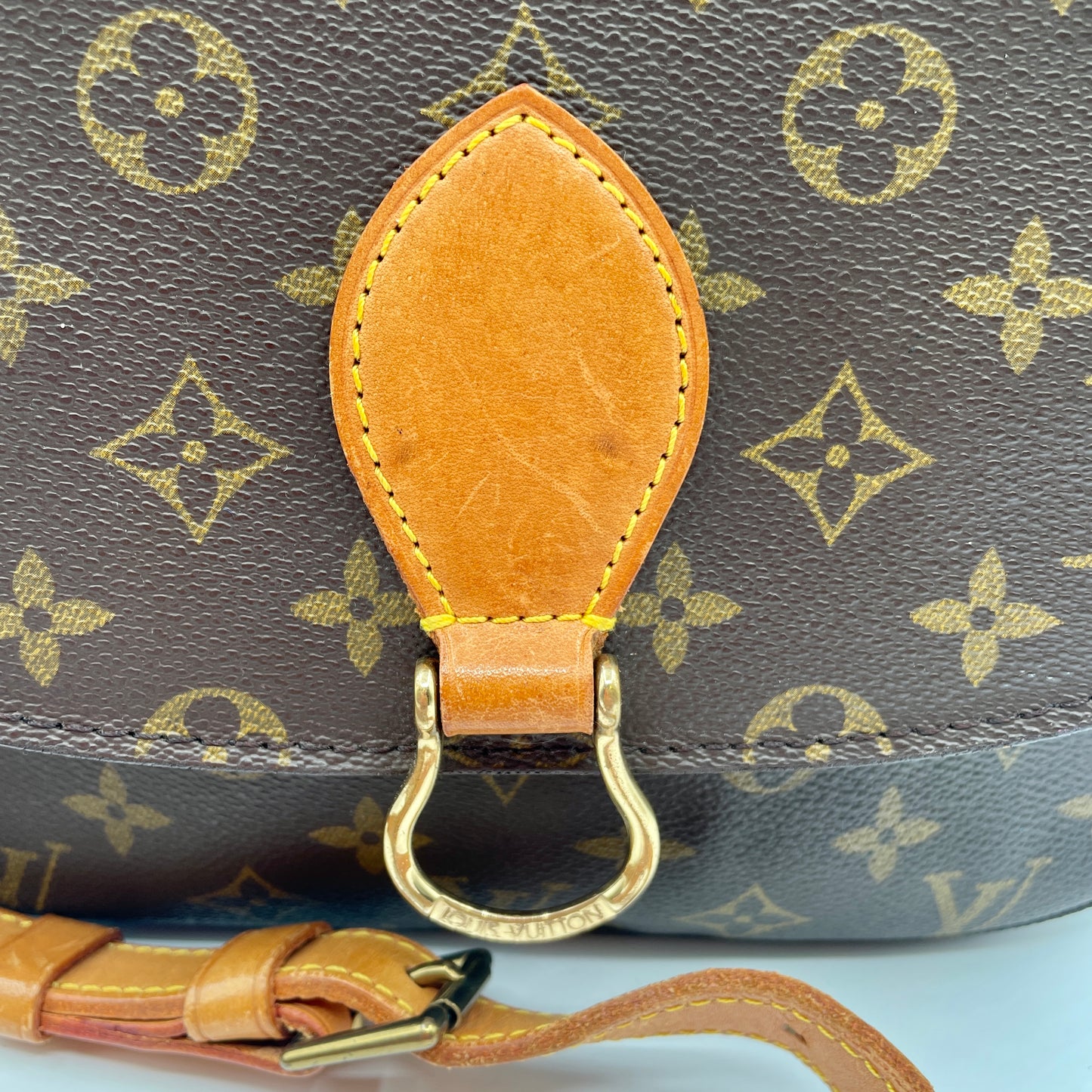 Louis Vuitton Saint Cloud GM