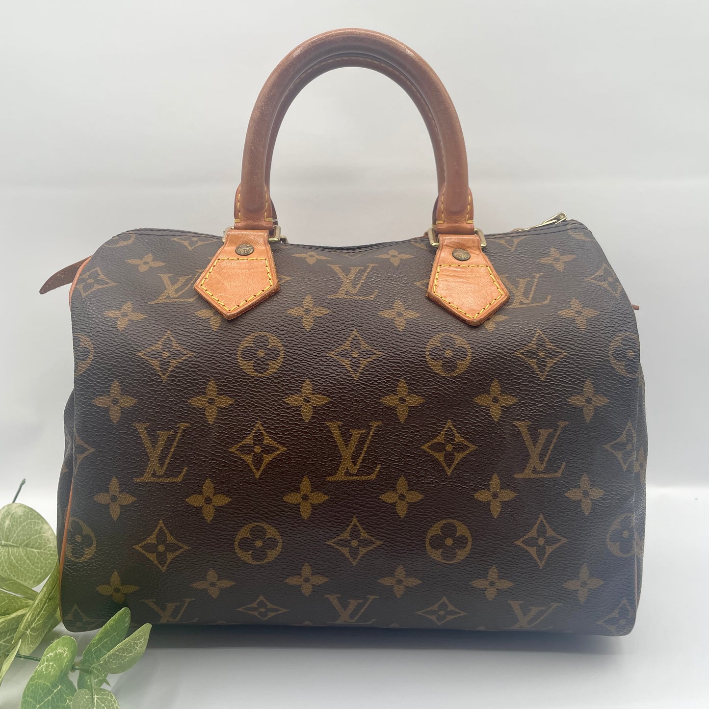 Louis Vuitton Speedy 25