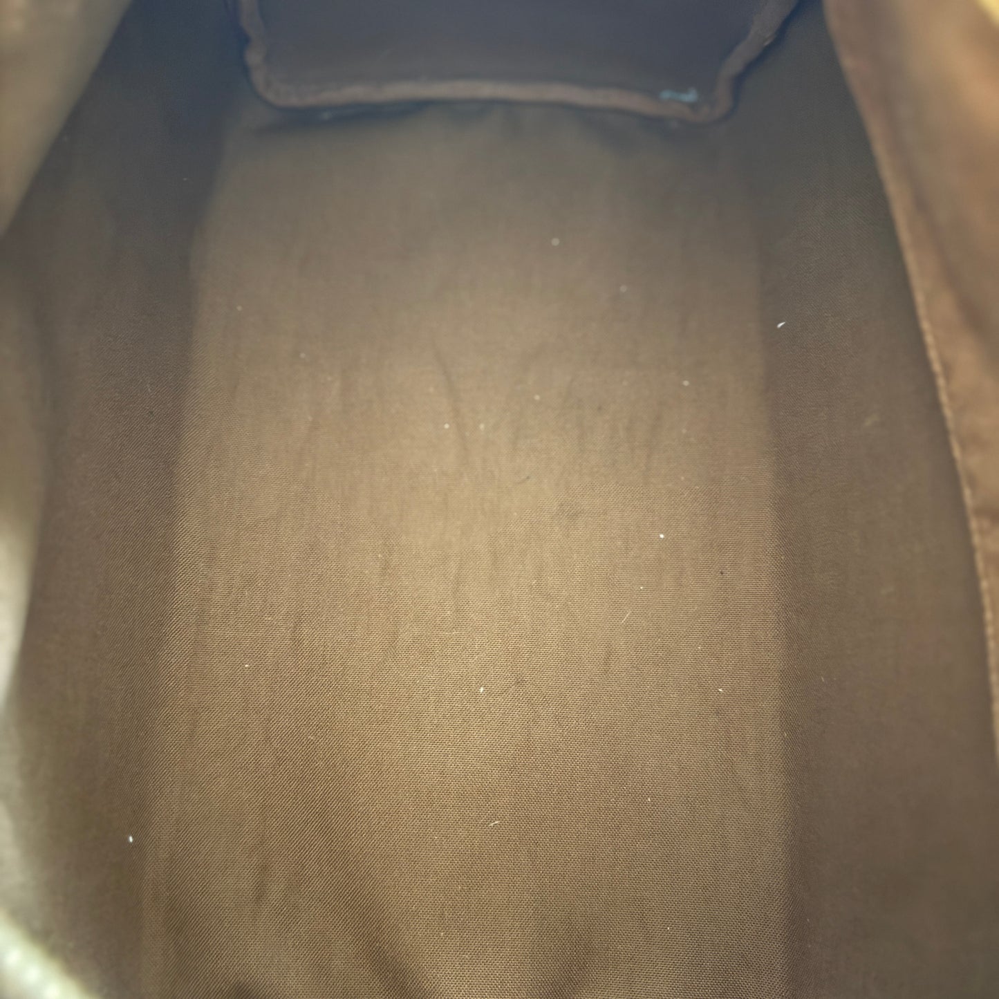 Louis Vuitton Speedy 35