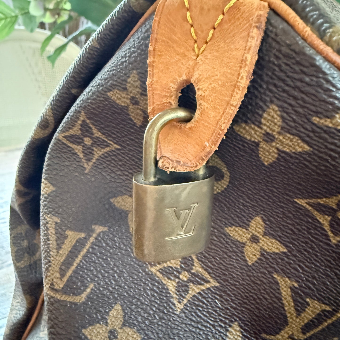 Louis Vuitton Speedy 35