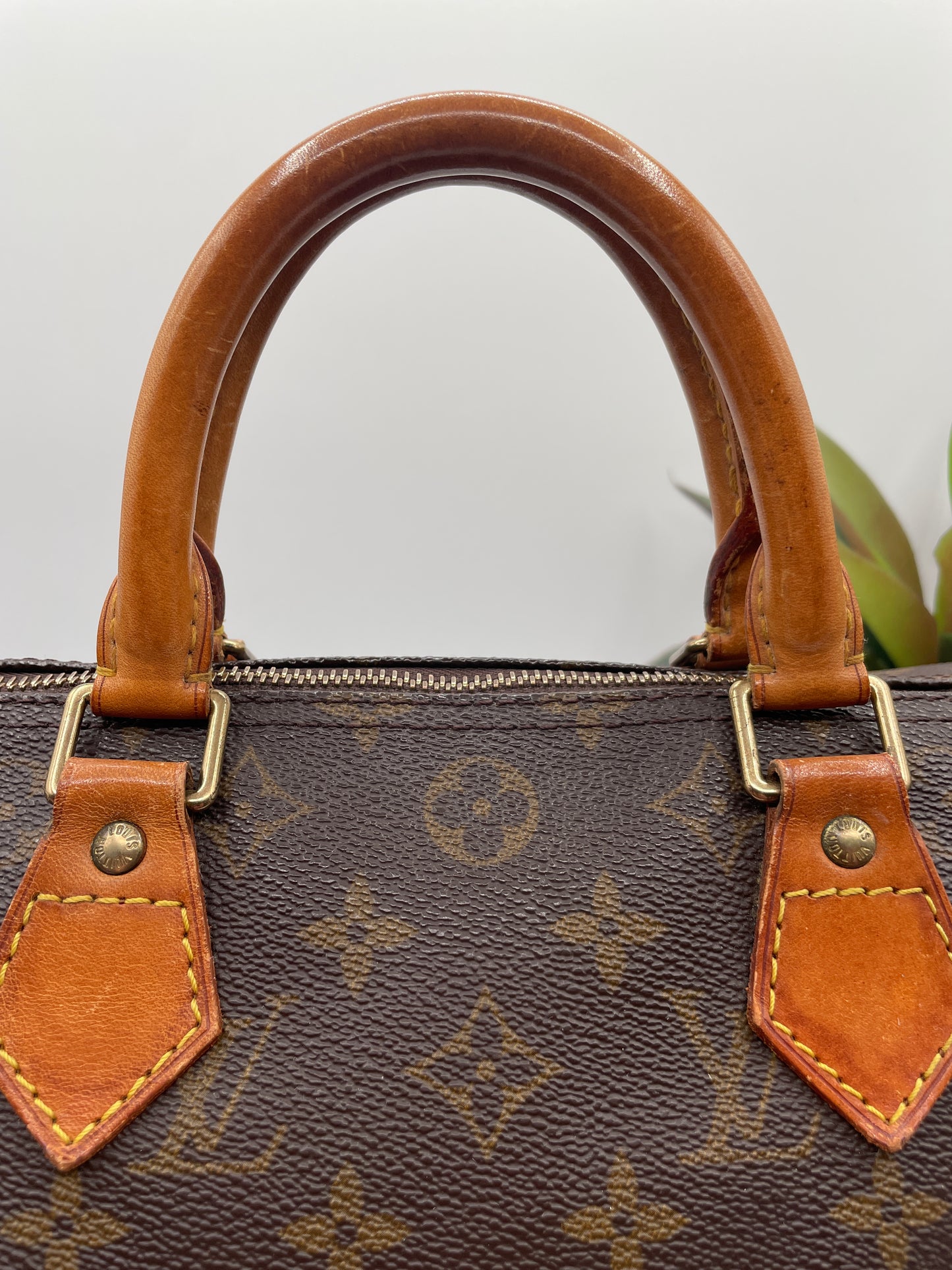 LOUIS VUITTON SPEEDY 30 MONOGRAM