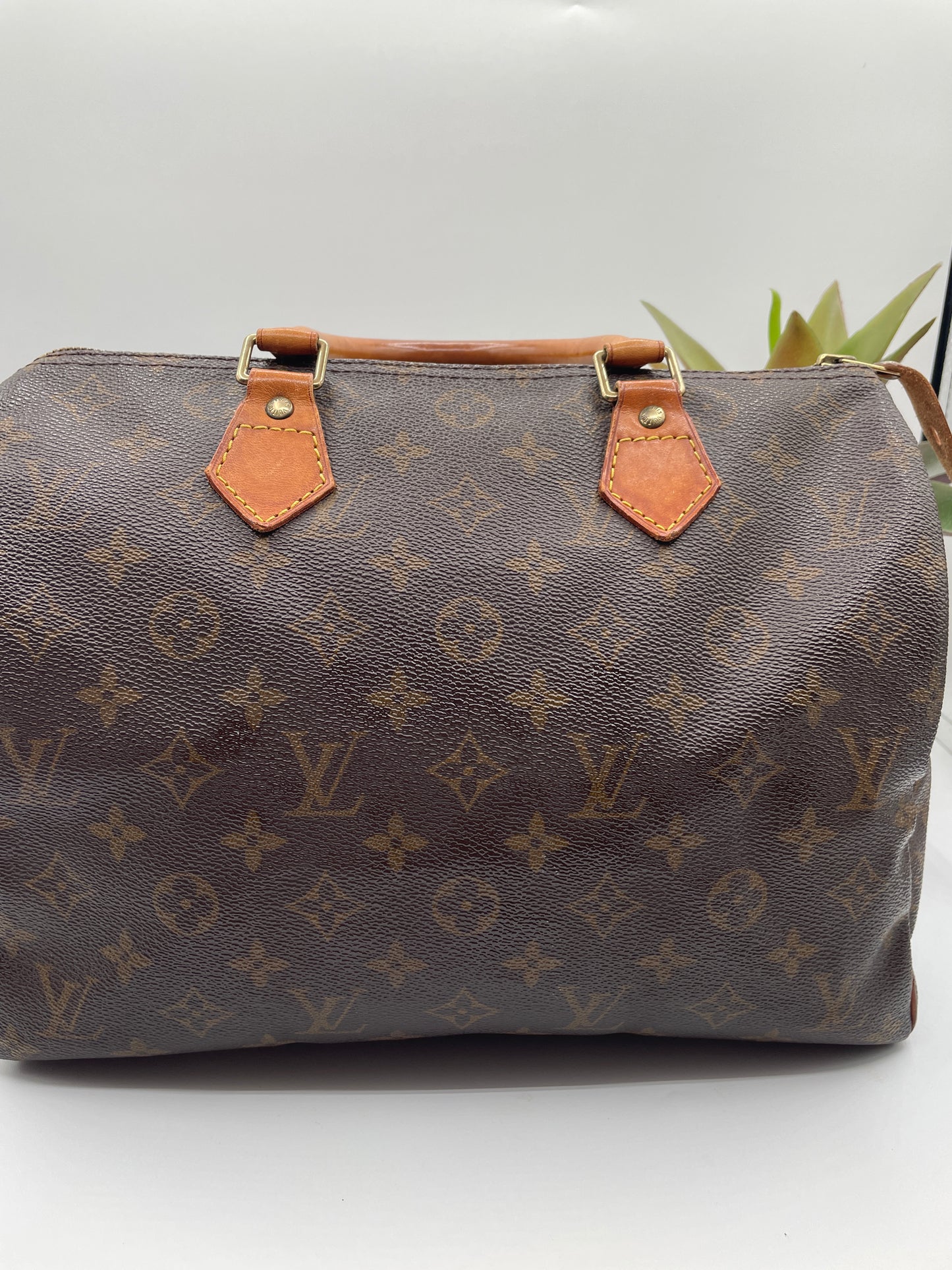 LOUIS VUITTON SPEEDY 30 MONOGRAM