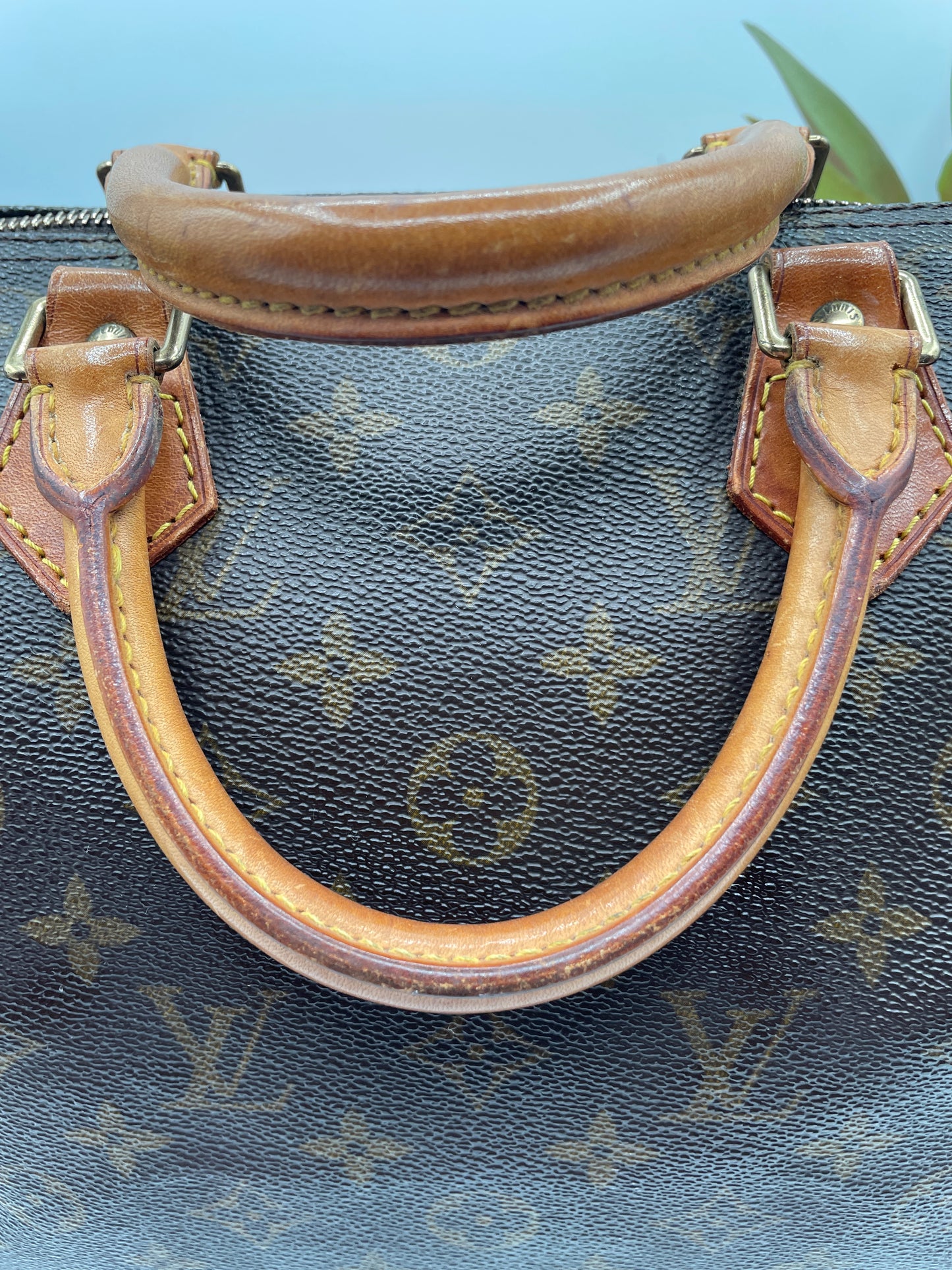 LOUIS VUITTON SPEEDY 30 MONOGRAM