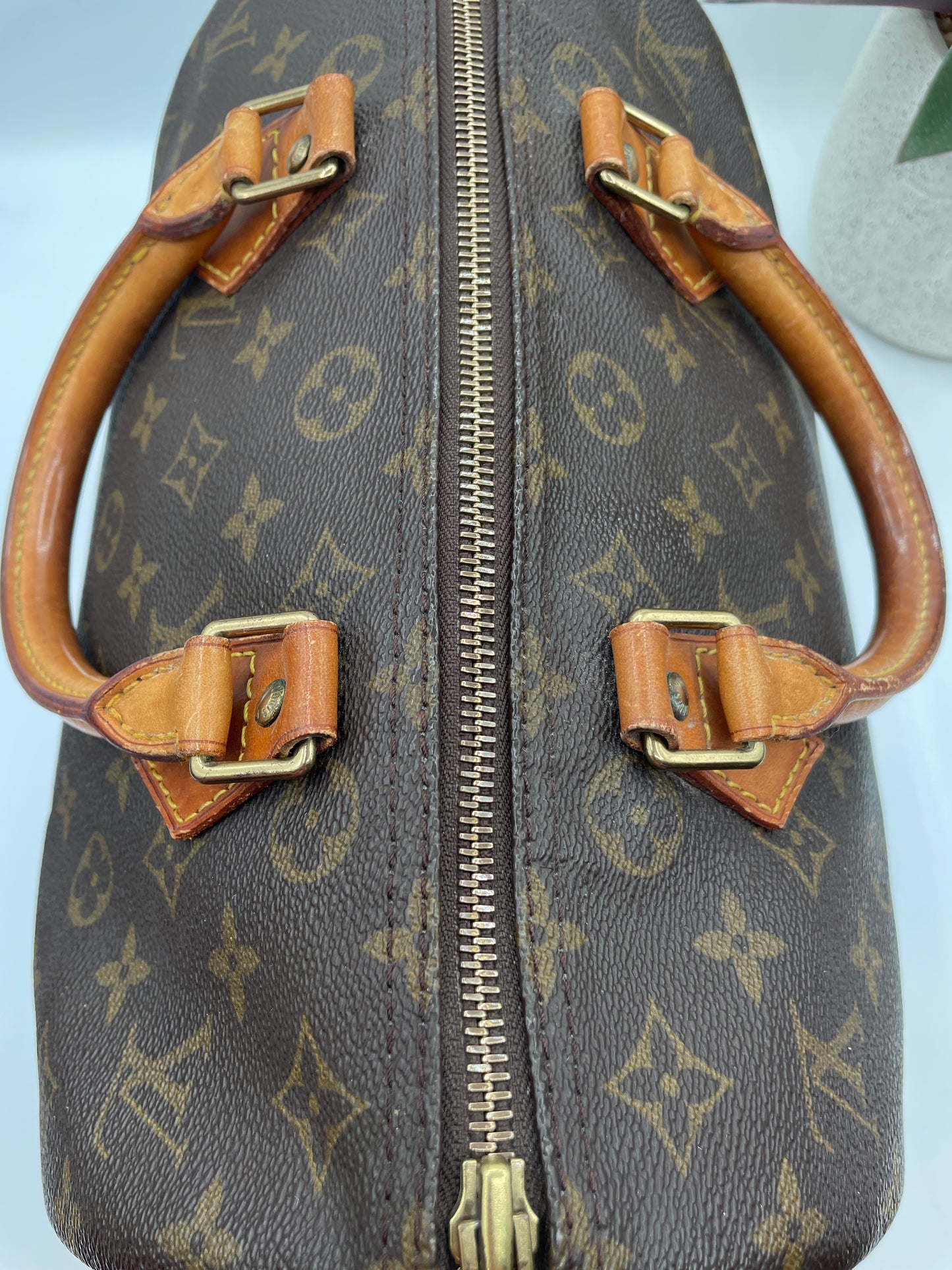 LOUIS VUITTON SPEEDY 30 MONOGRAM