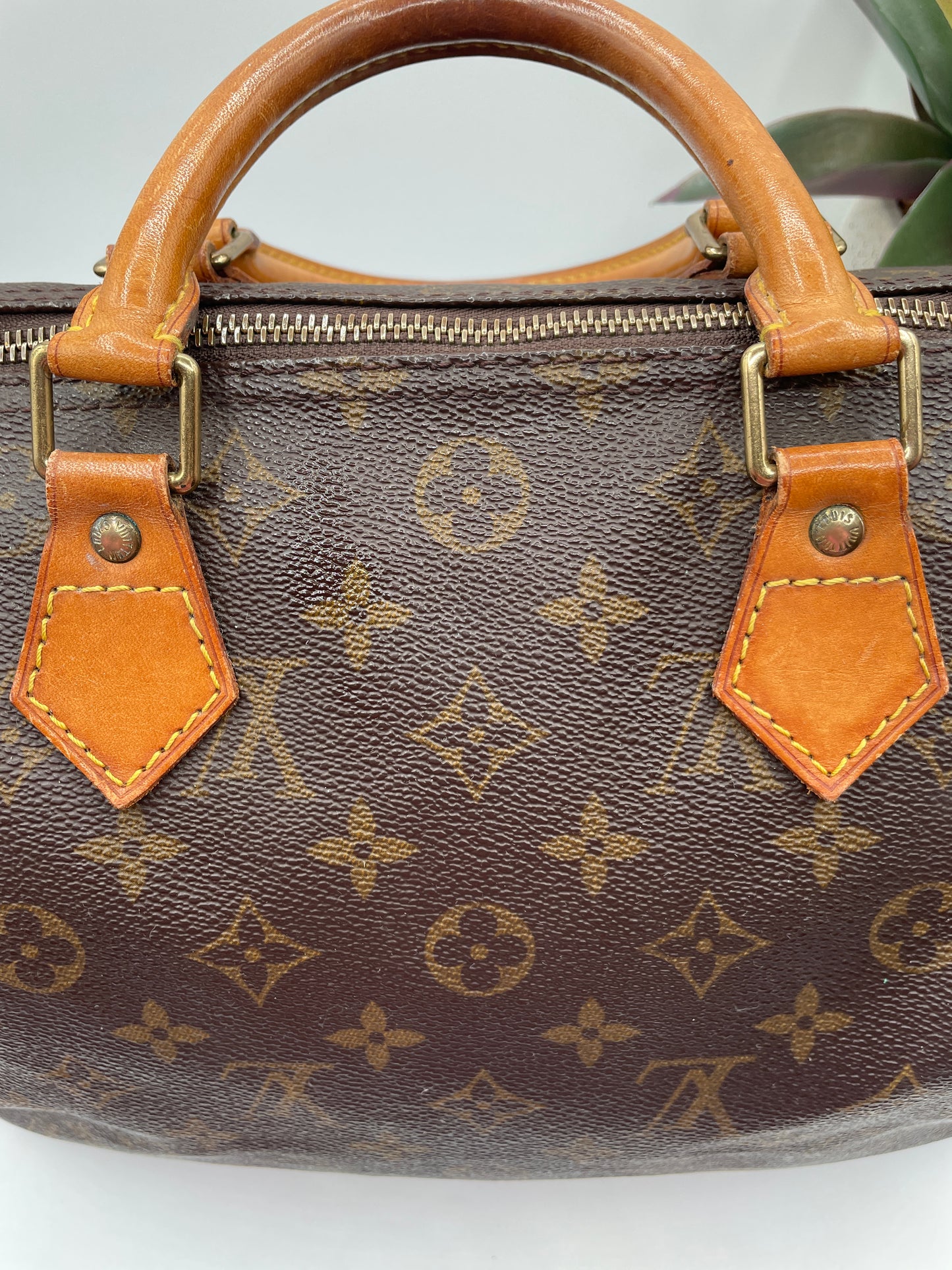 LOUIS VUITTON SPEEDY 30 MONOGRAM