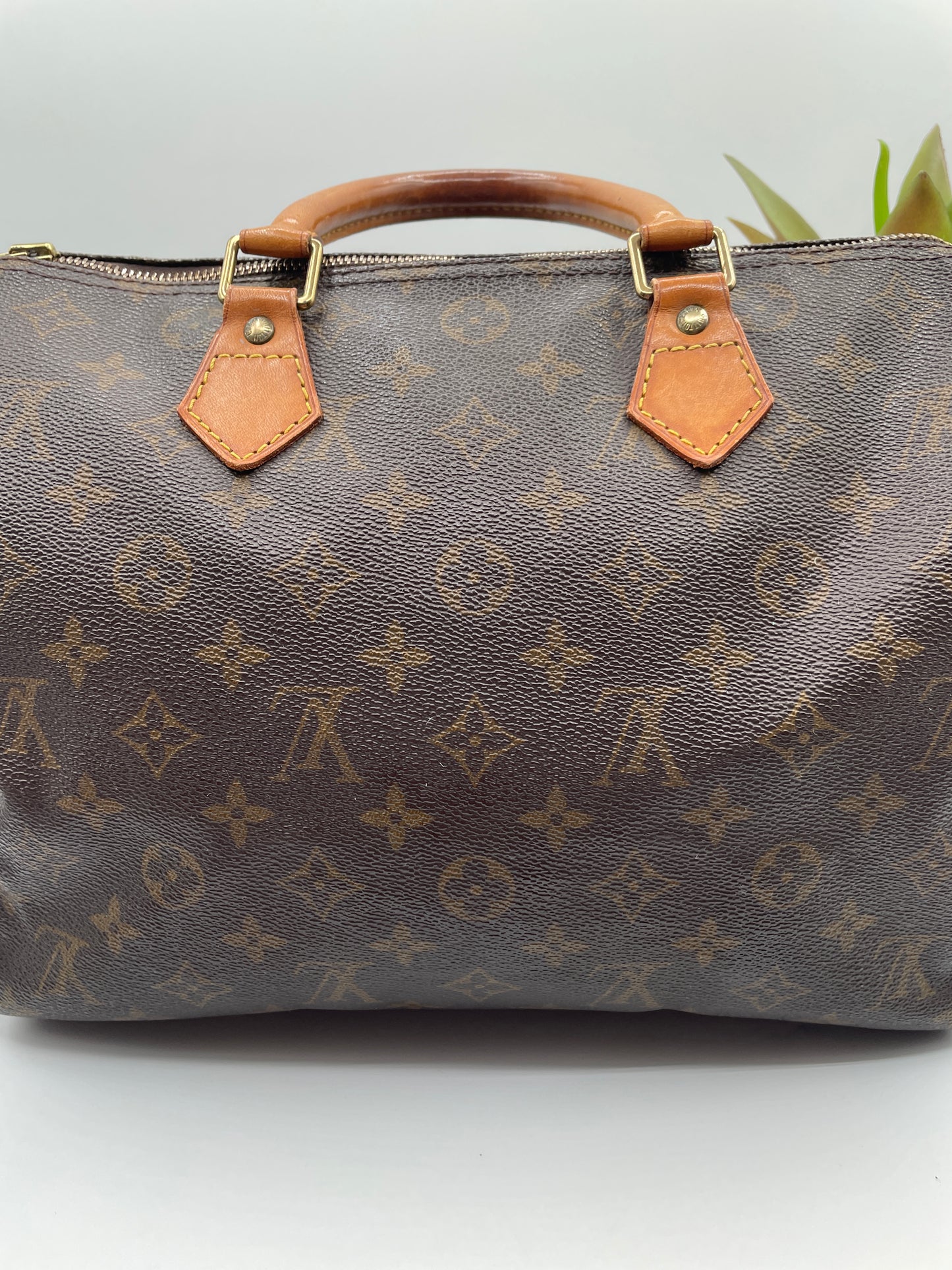 LOUIS VUITTON SPEEDY 30 MONOGRAM