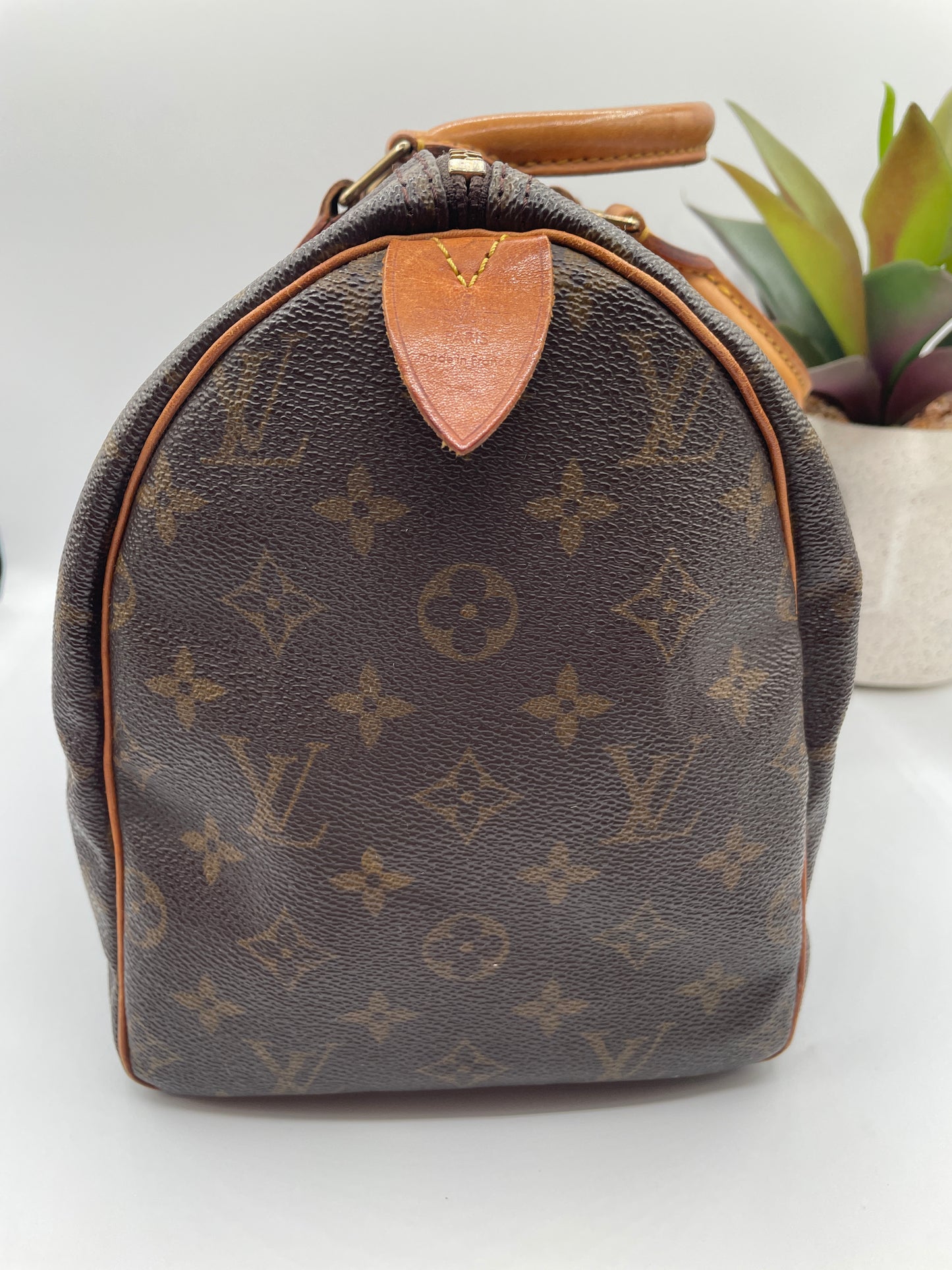 LOUIS VUITTON SPEEDY 30 MONOGRAM