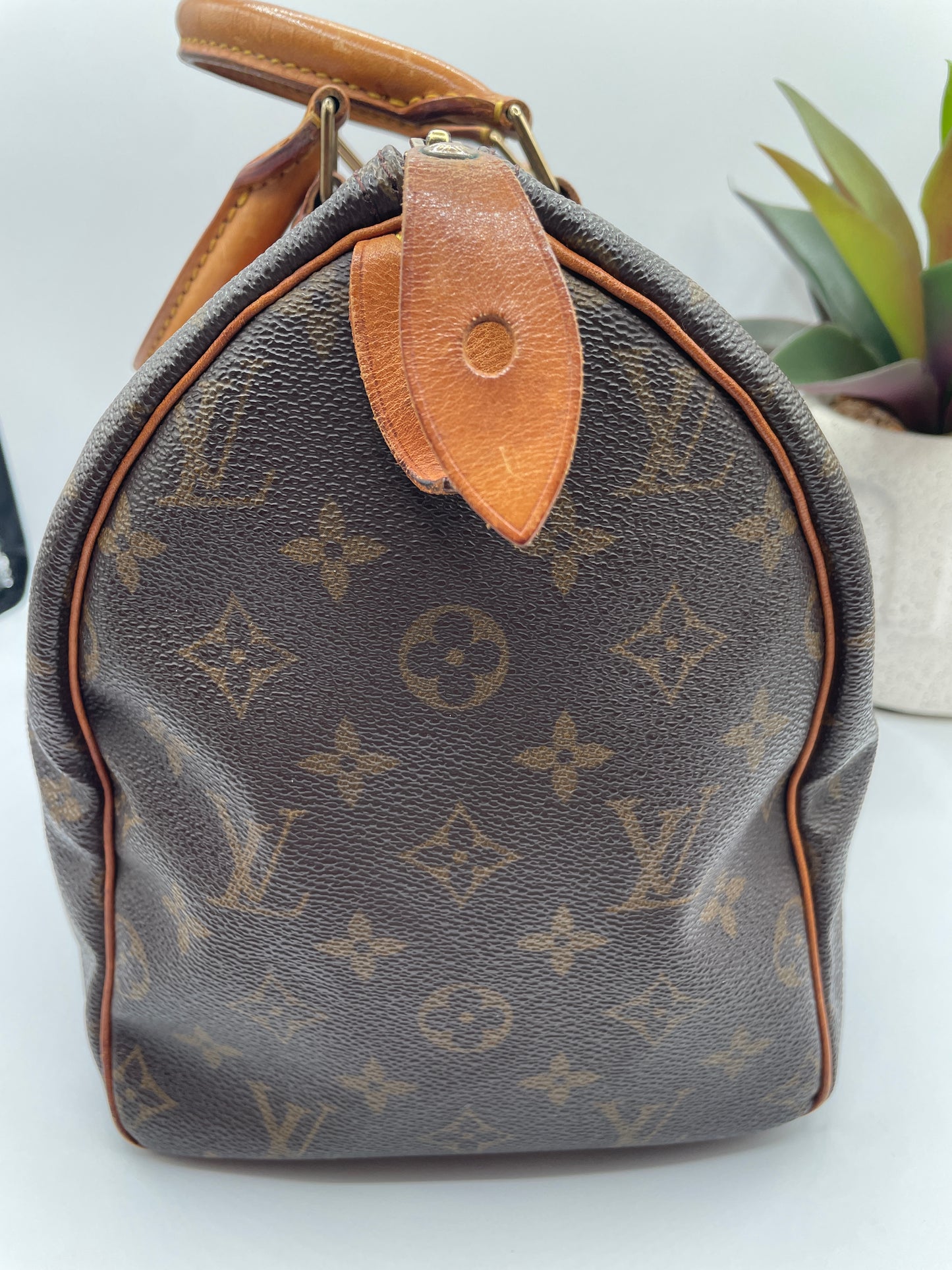 LOUIS VUITTON SPEEDY 30 MONOGRAM