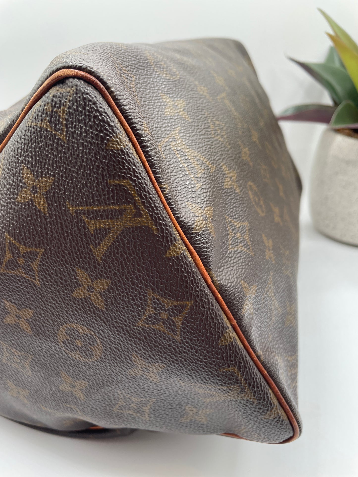 LOUIS VUITTON SPEEDY 30 MONOGRAM