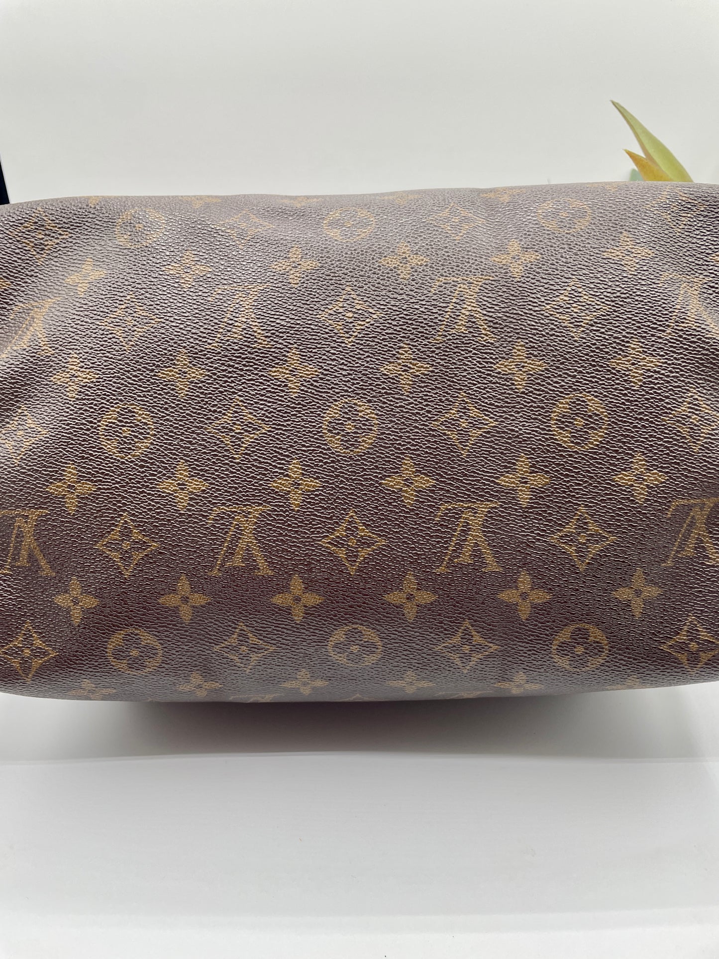 LOUIS VUITTON SPEEDY 30 MONOGRAM