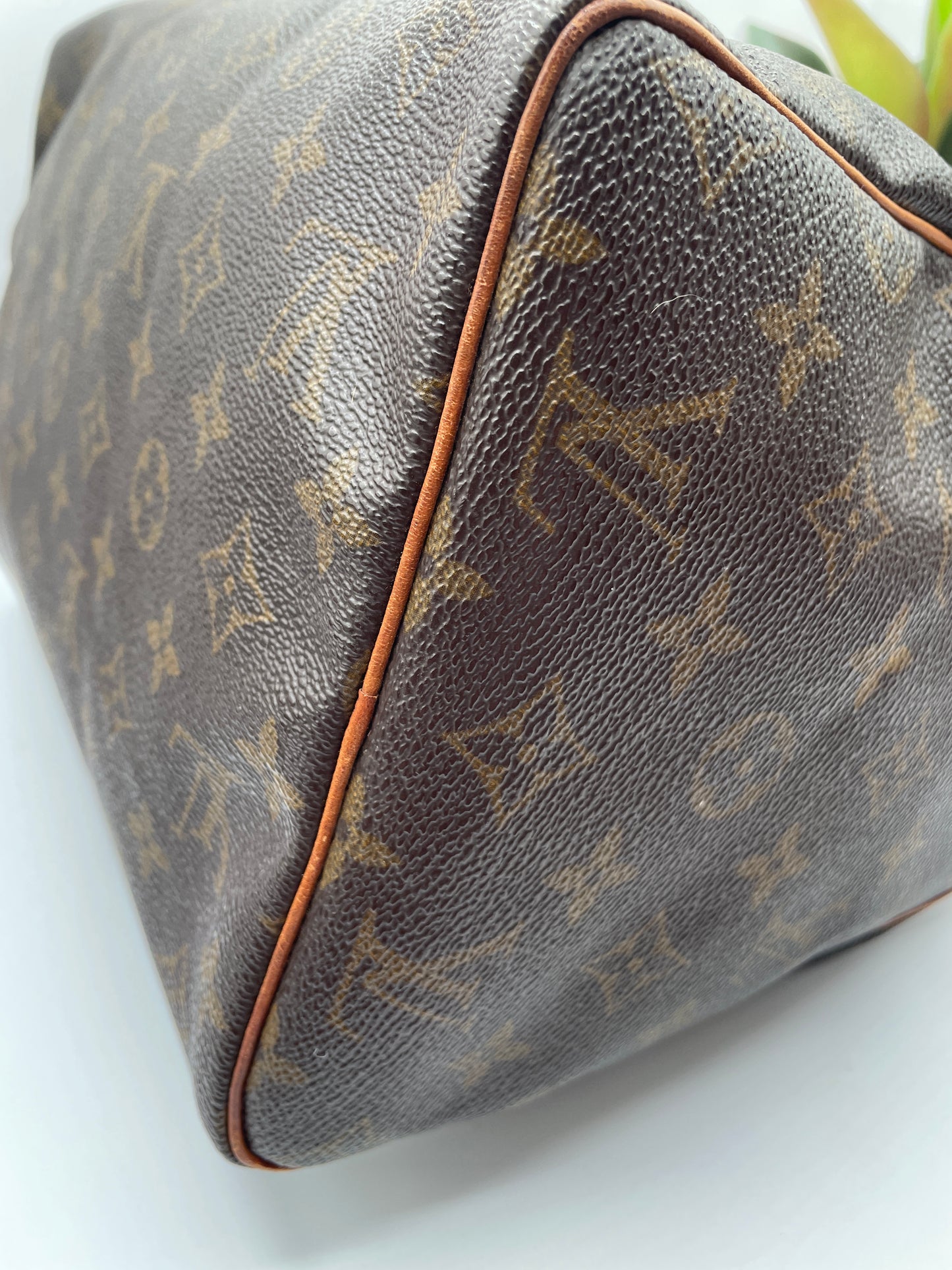 LOUIS VUITTON SPEEDY 30 MONOGRAM