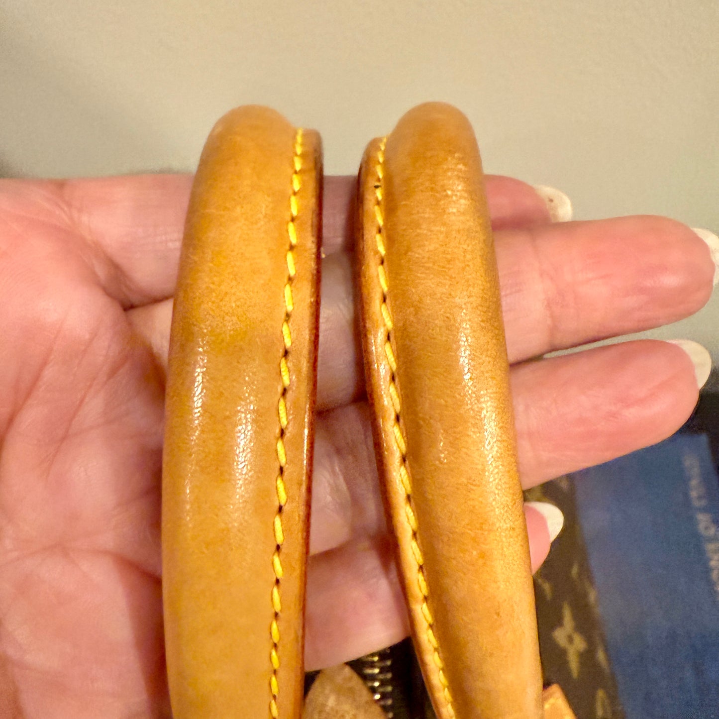 Louis Vuitton Speedy 25