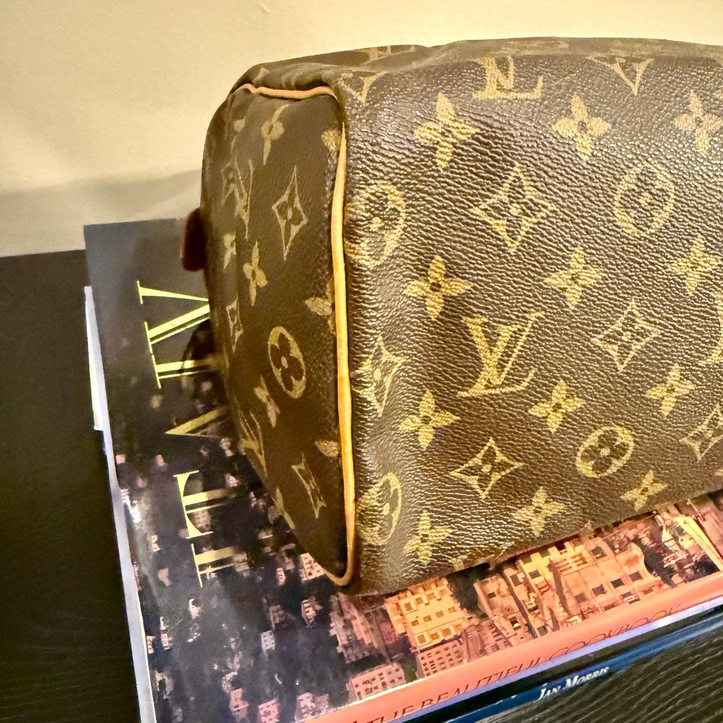 Louis Vuitton Speedy 25