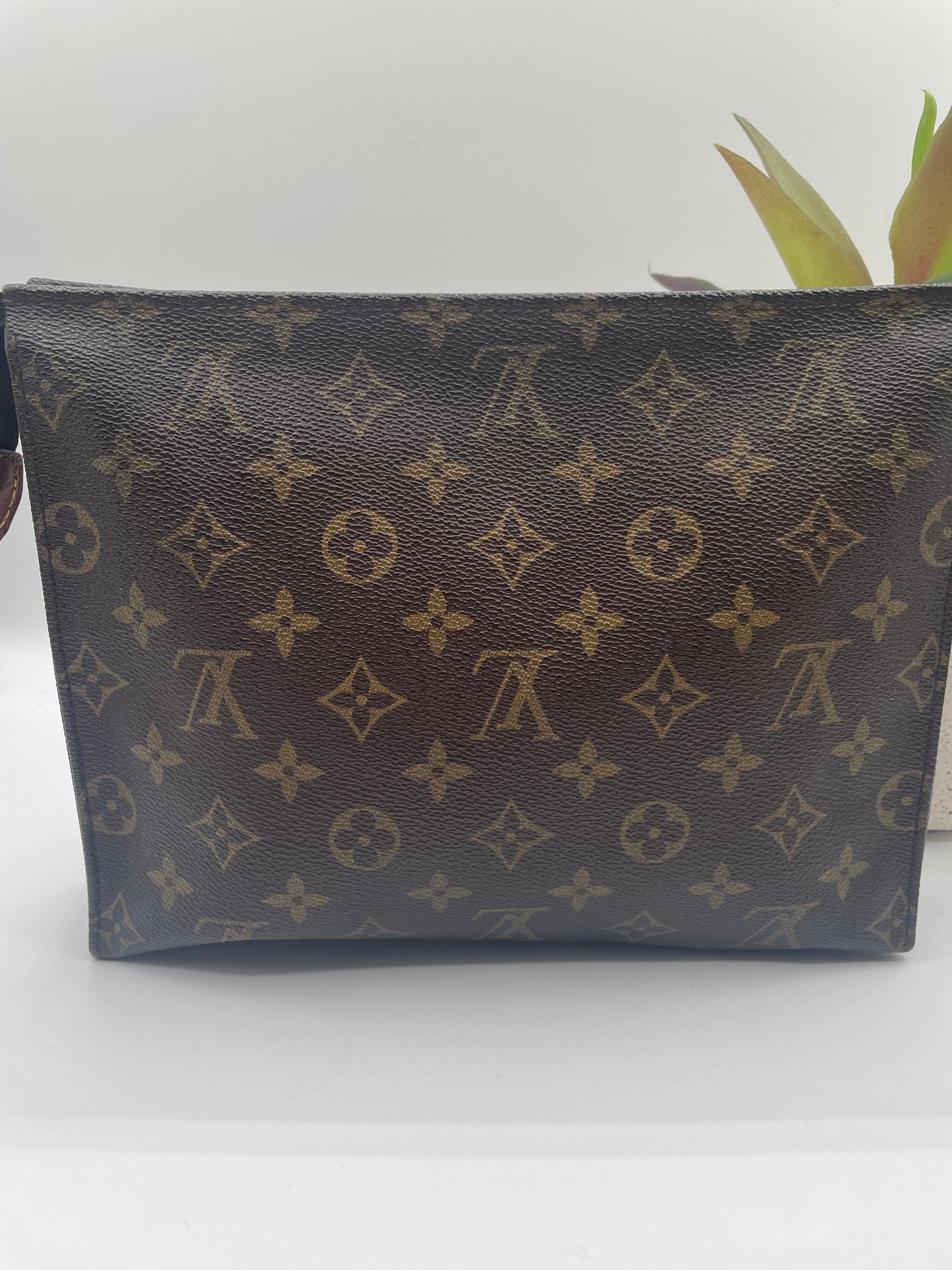 LOUIS VUITTON TOILETRY 26