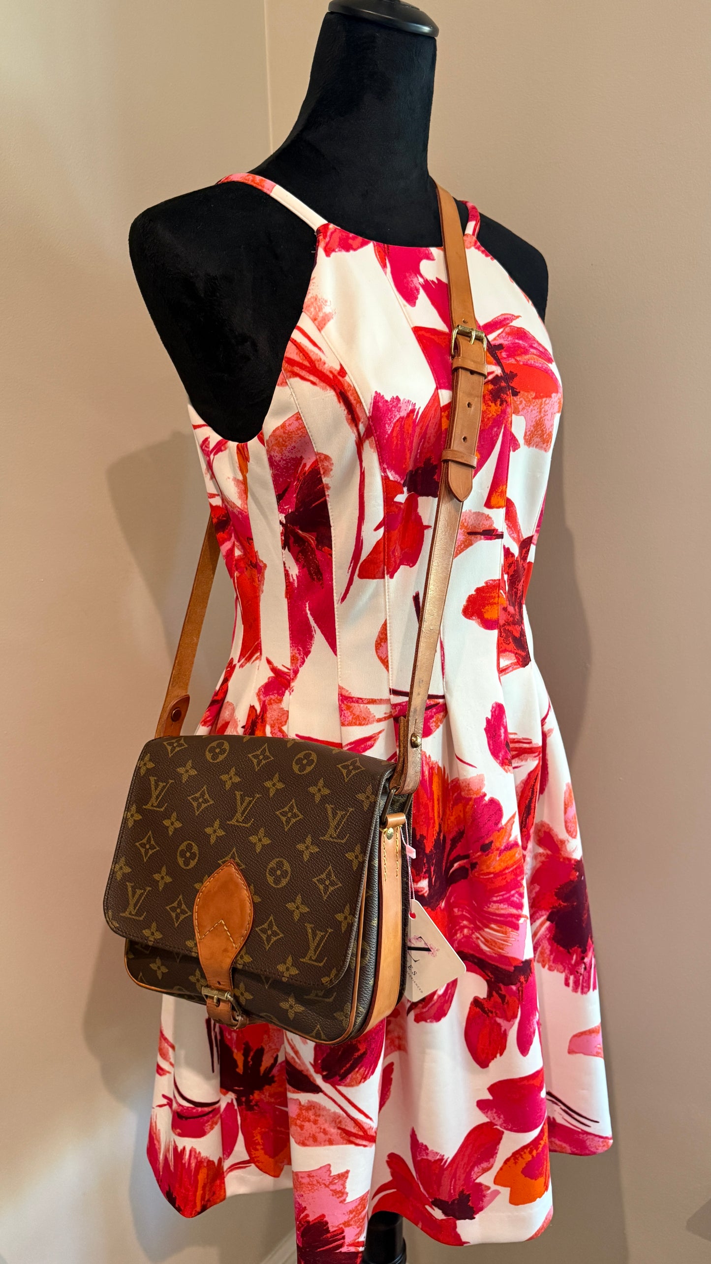 Louis Vuitton Cartouchiere