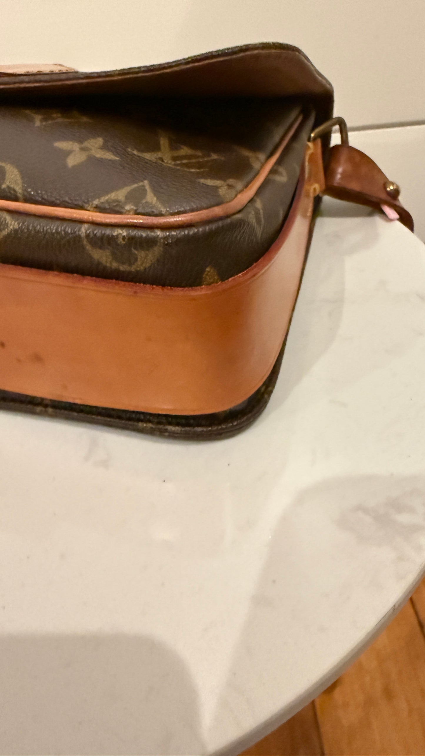 Louis Vuitton Cartouchiere