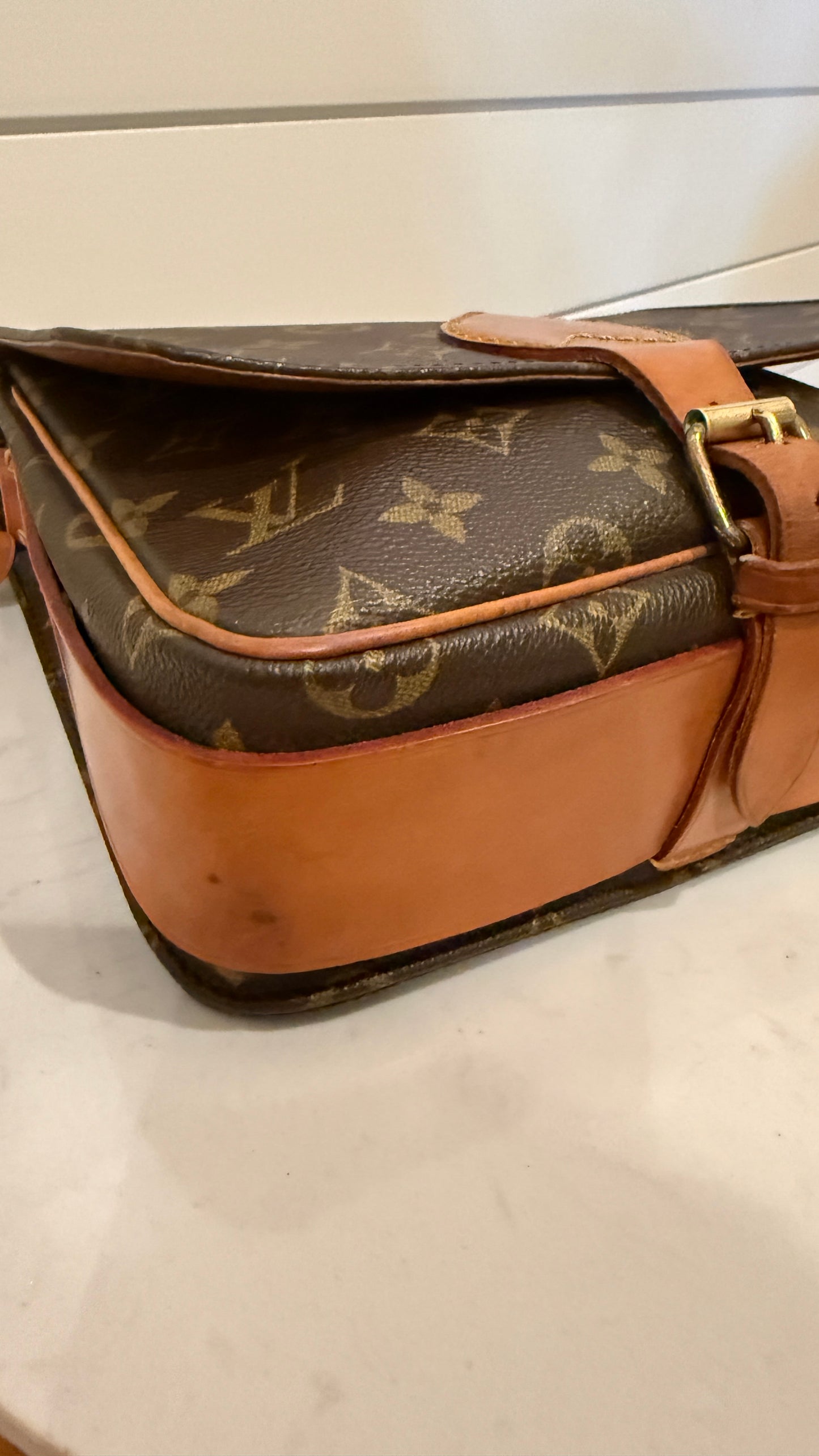 Louis Vuitton Cartouchiere