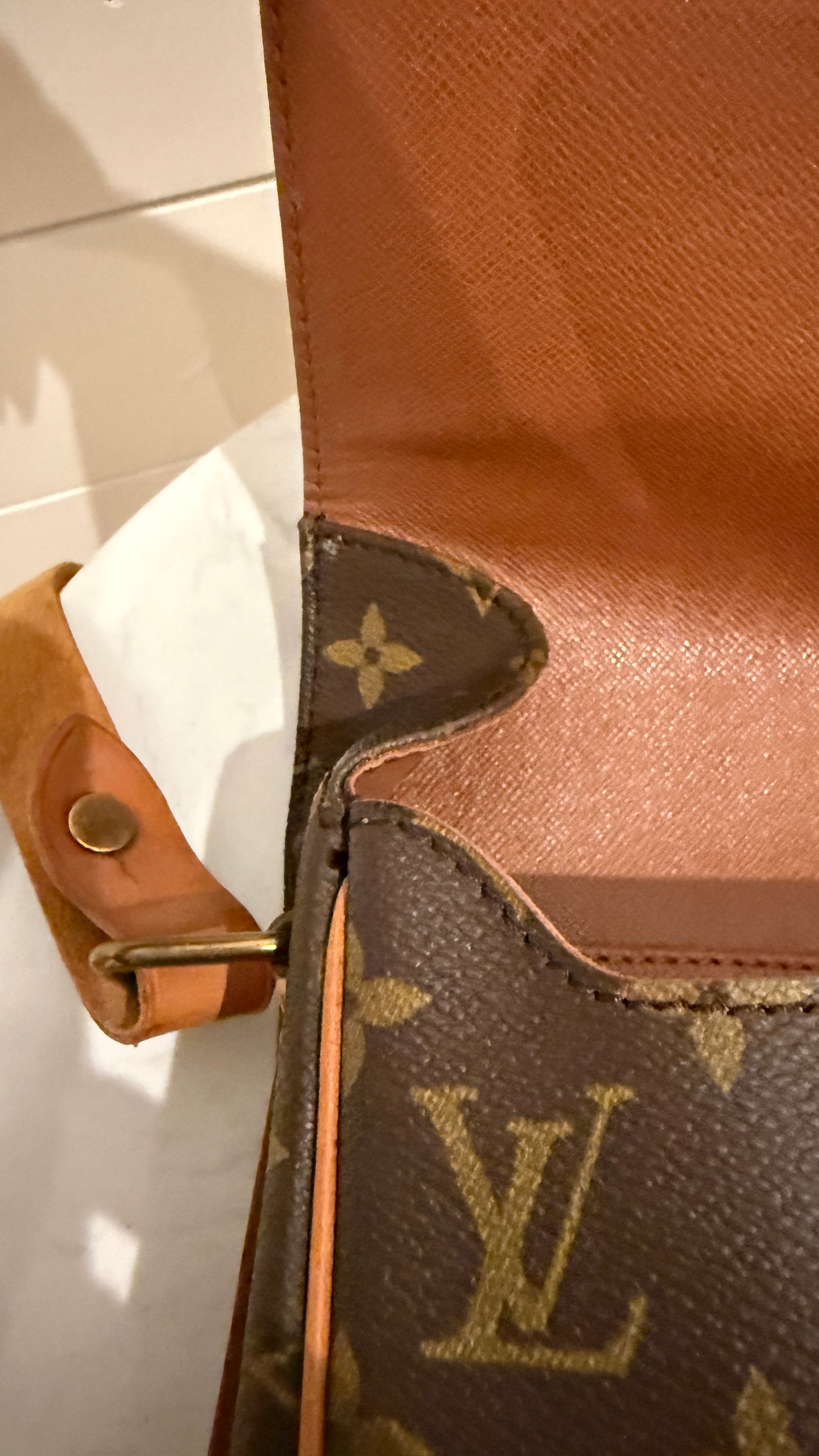 Louis Vuitton Cartouchiere