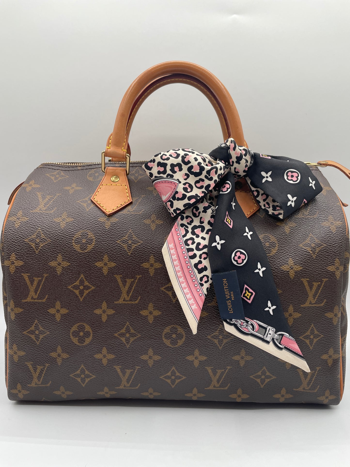 LOUIS VUITTON SPEEDY 30 MONOGRAM