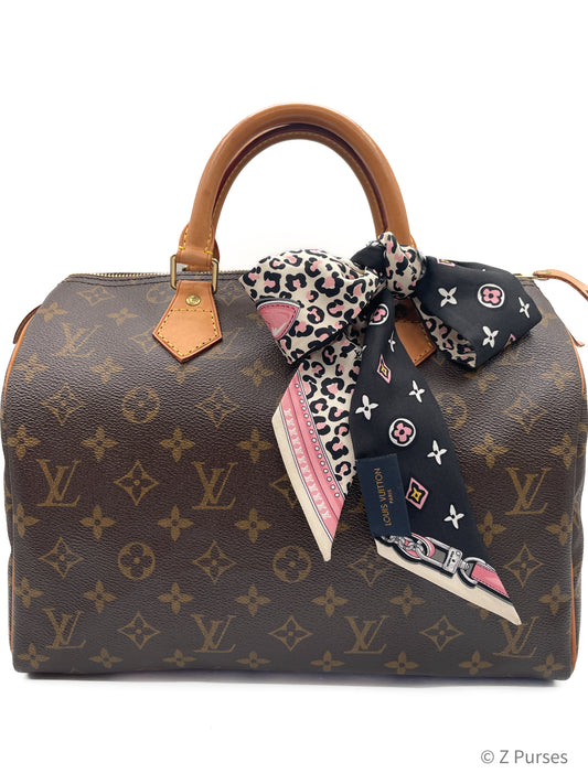 LOUIS VUITTON SPEEDY 30 MONOGRAM