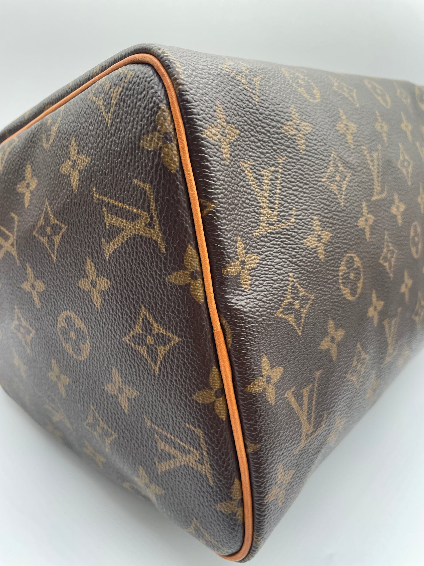 LOUIS VUITTON SPEEDY 30 MONOGRAM