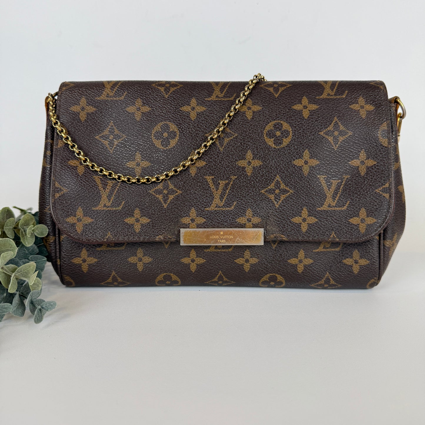 Louis Vuitton Favorite MM