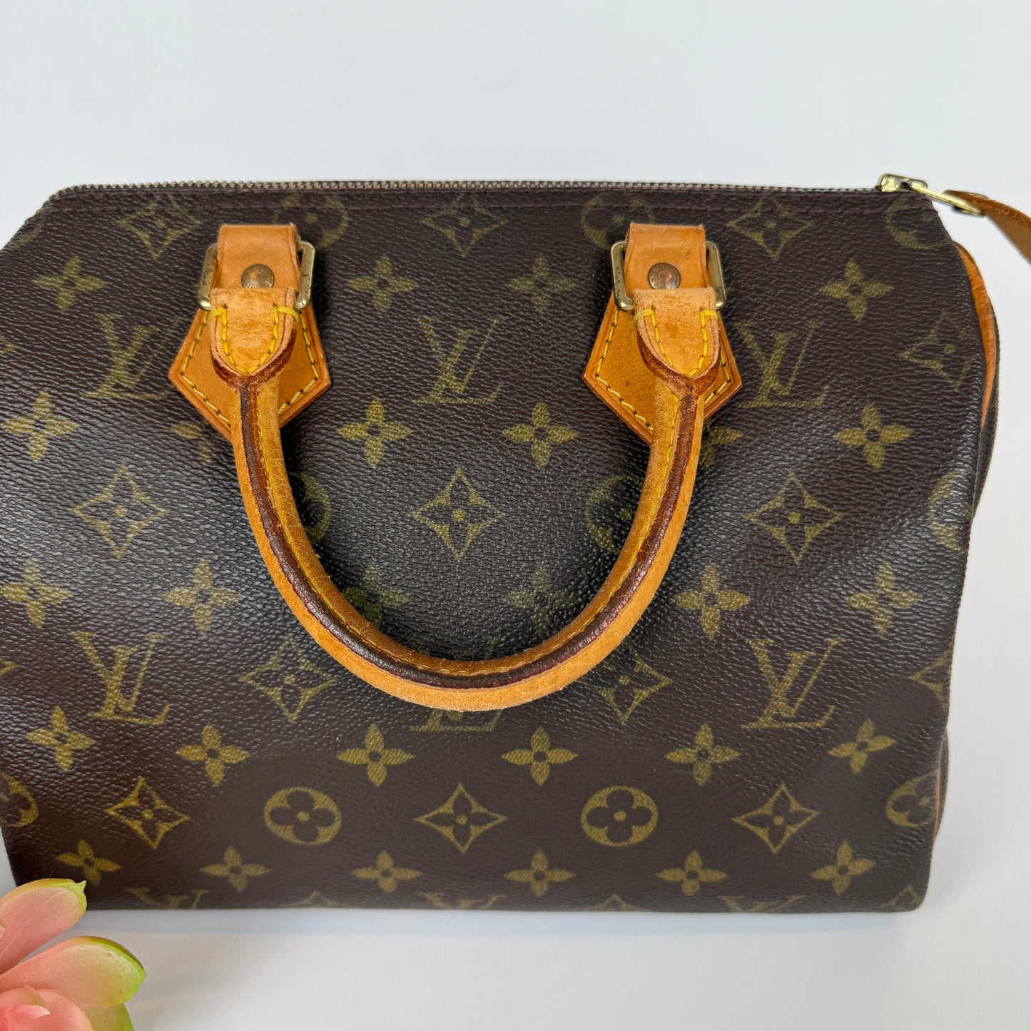 Louis Vuitton Speedy 25