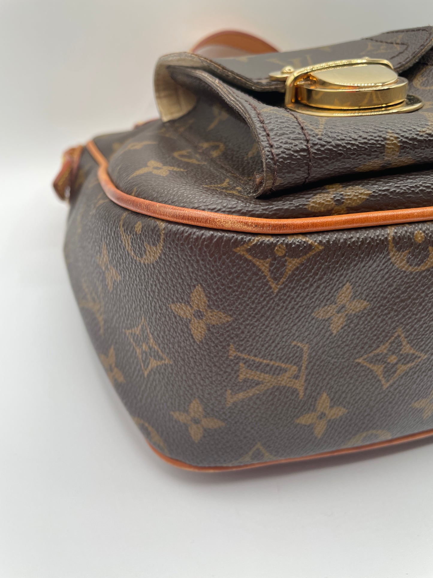 LOUIS VUITTON HUDSON GM