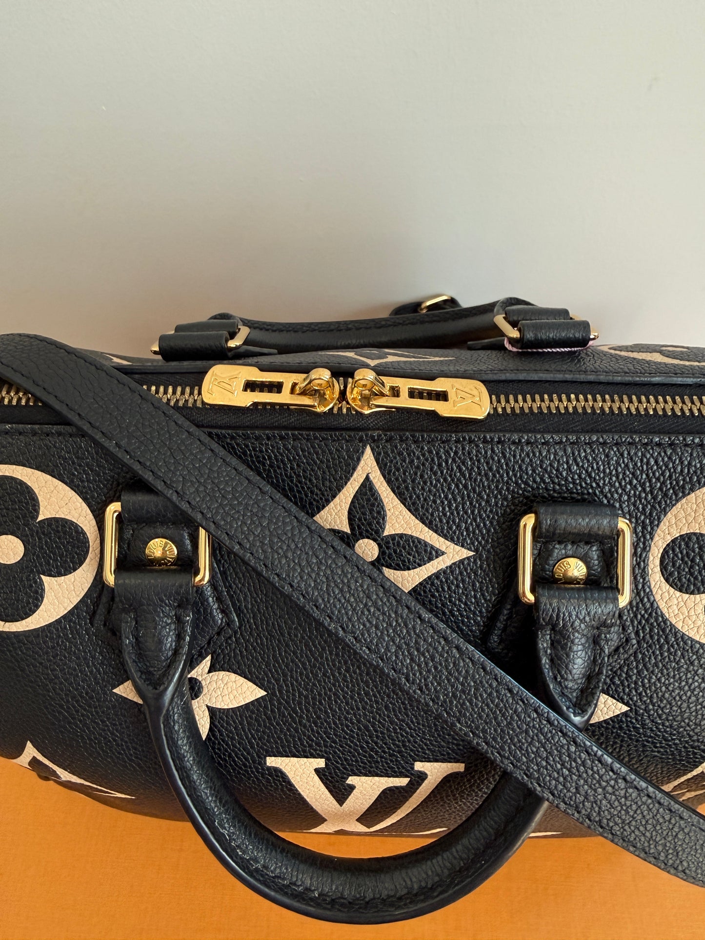 Louis Vuitton Speedy 25 Bicolor