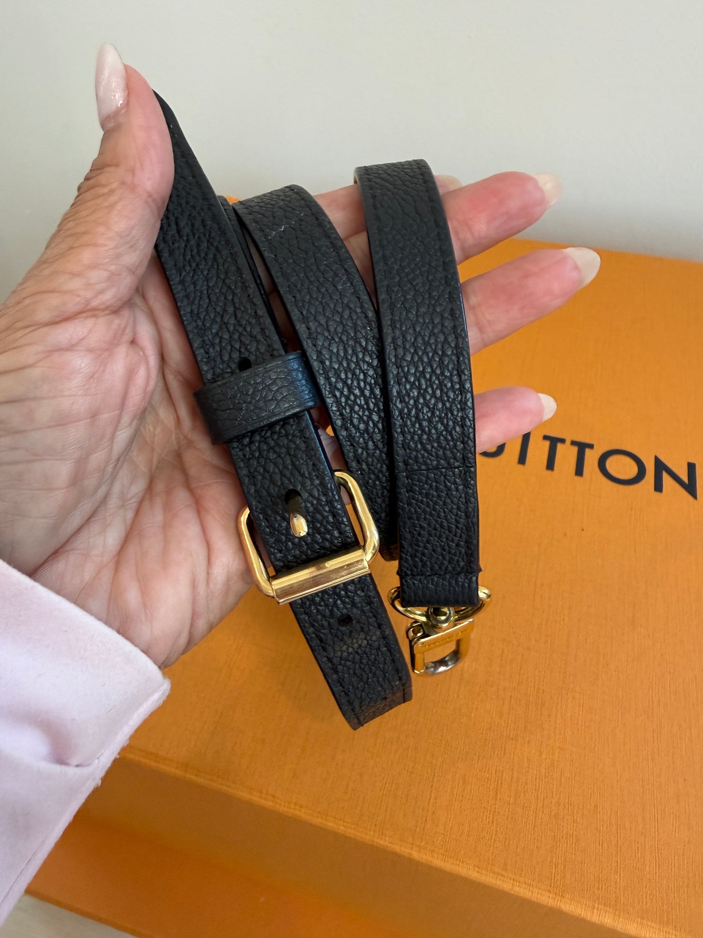 Louis Vuitton Speedy 25 Bicolor