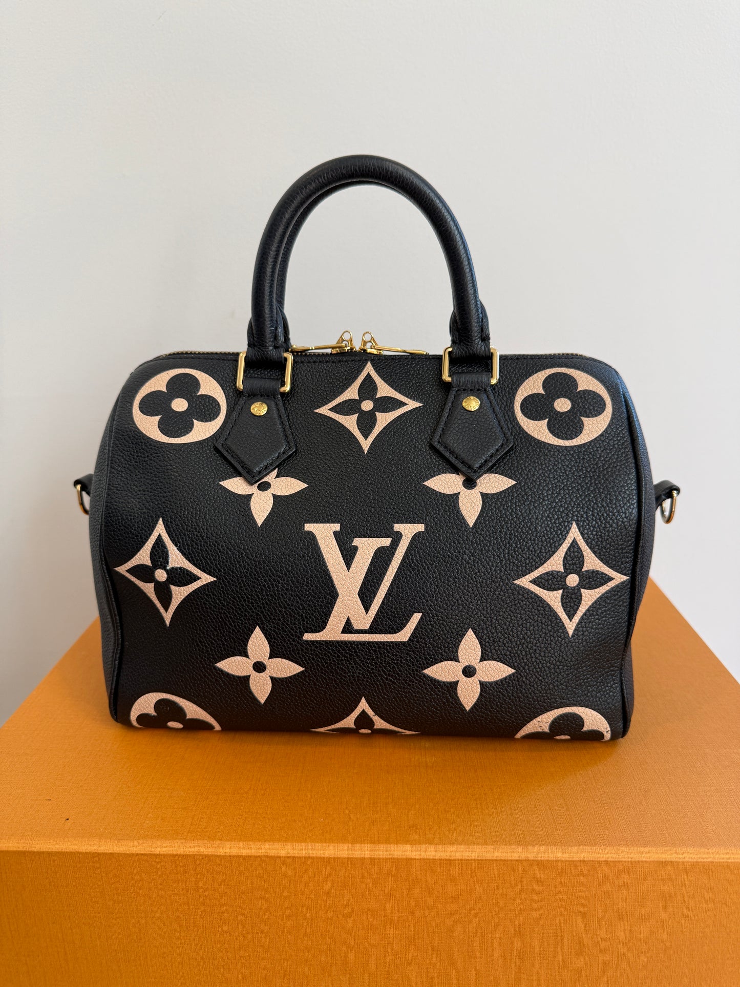 Louis Vuitton Speedy 25 Bicolor