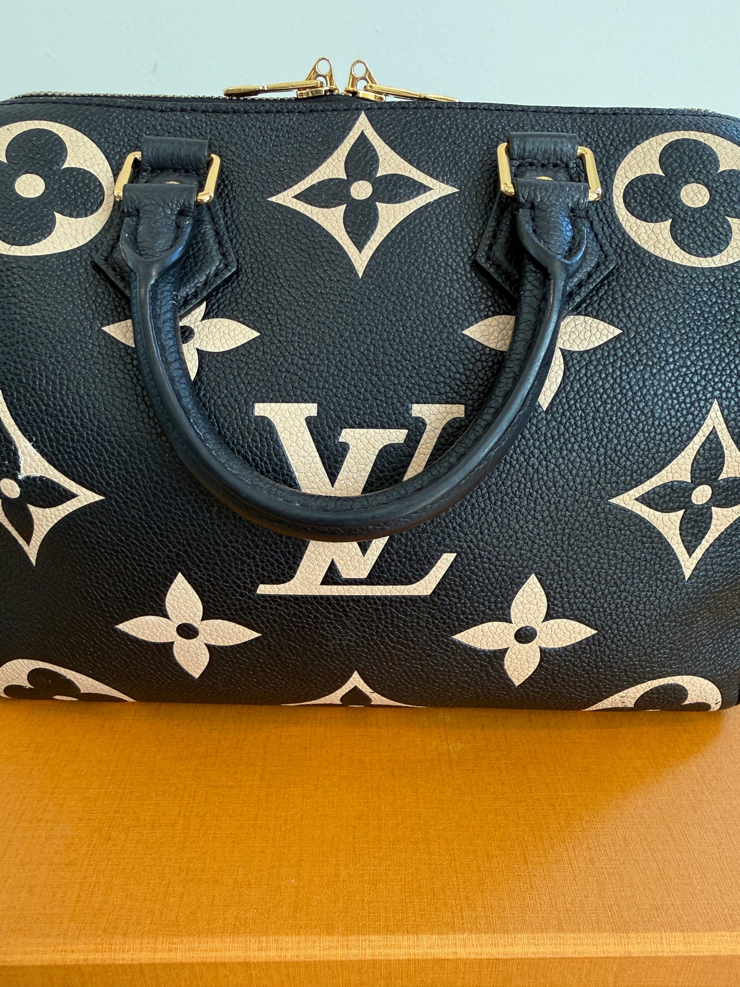 Louis Vuitton Speedy 25 Bicolor