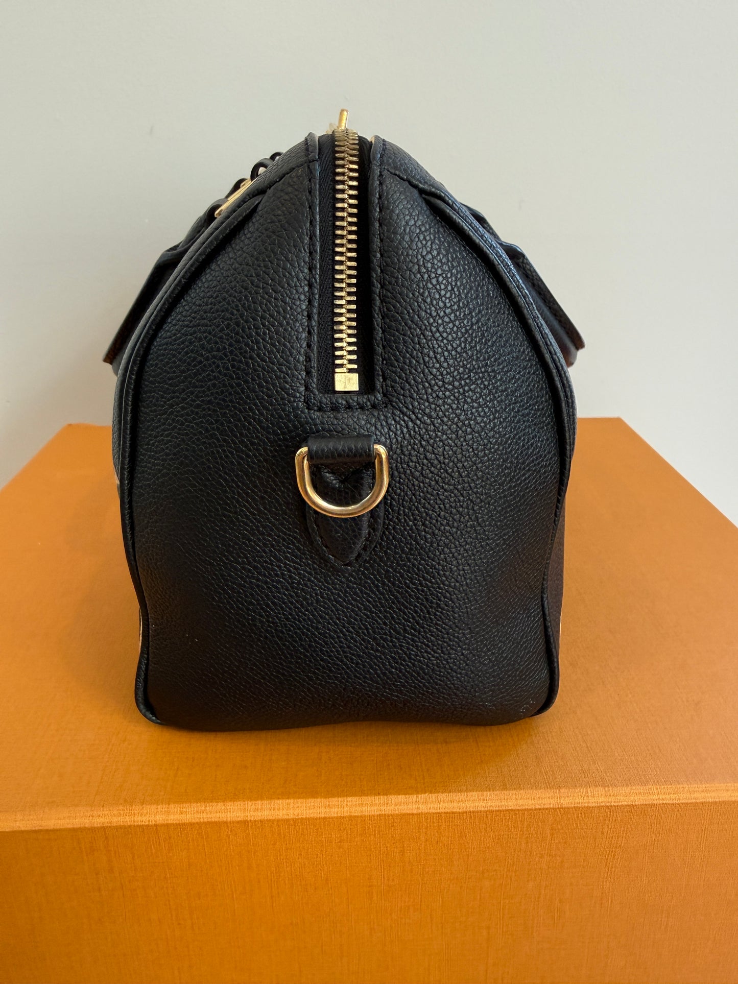 Louis Vuitton Speedy 25 Bicolor