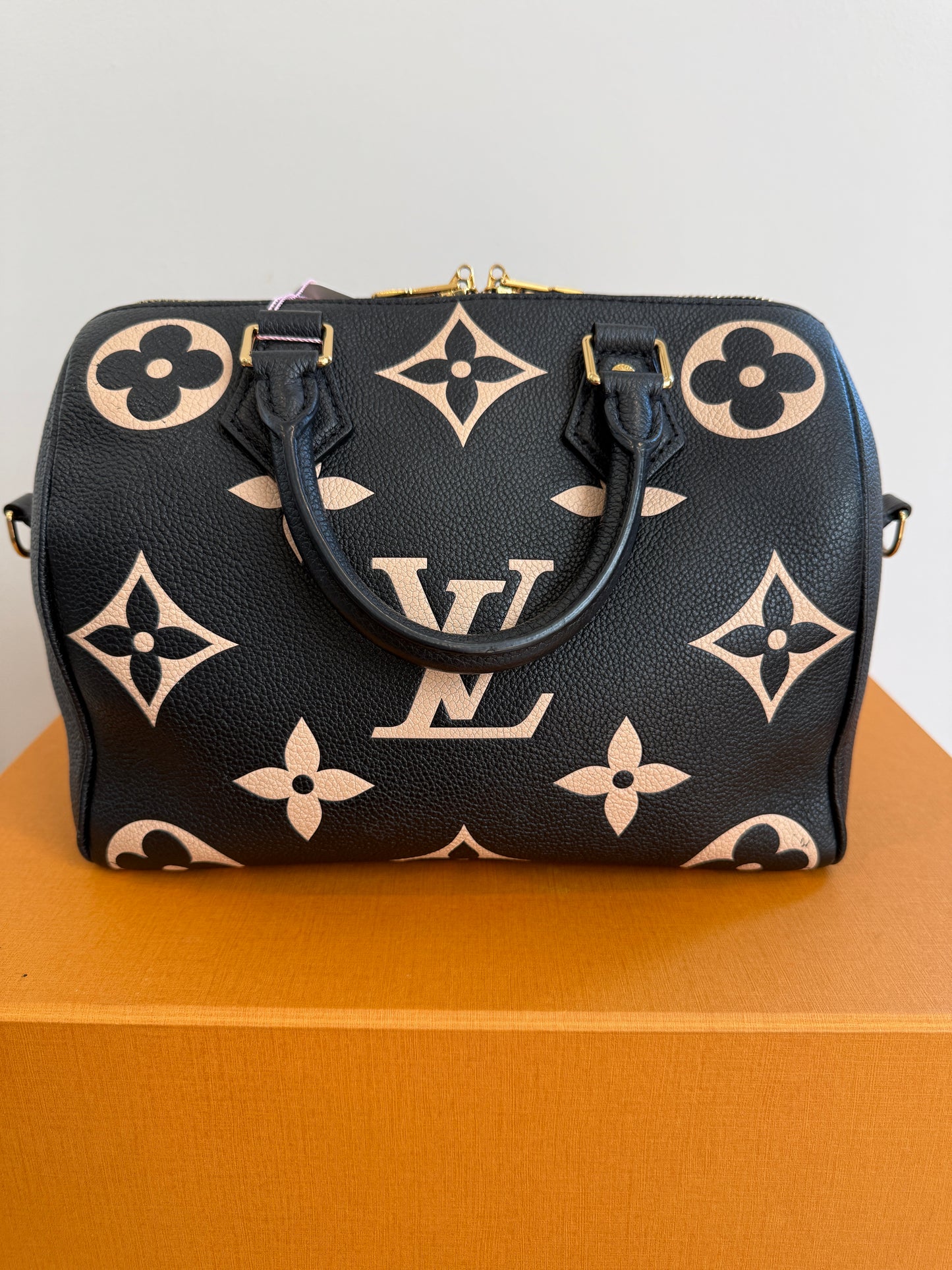 Louis Vuitton Speedy 25 Bicolor