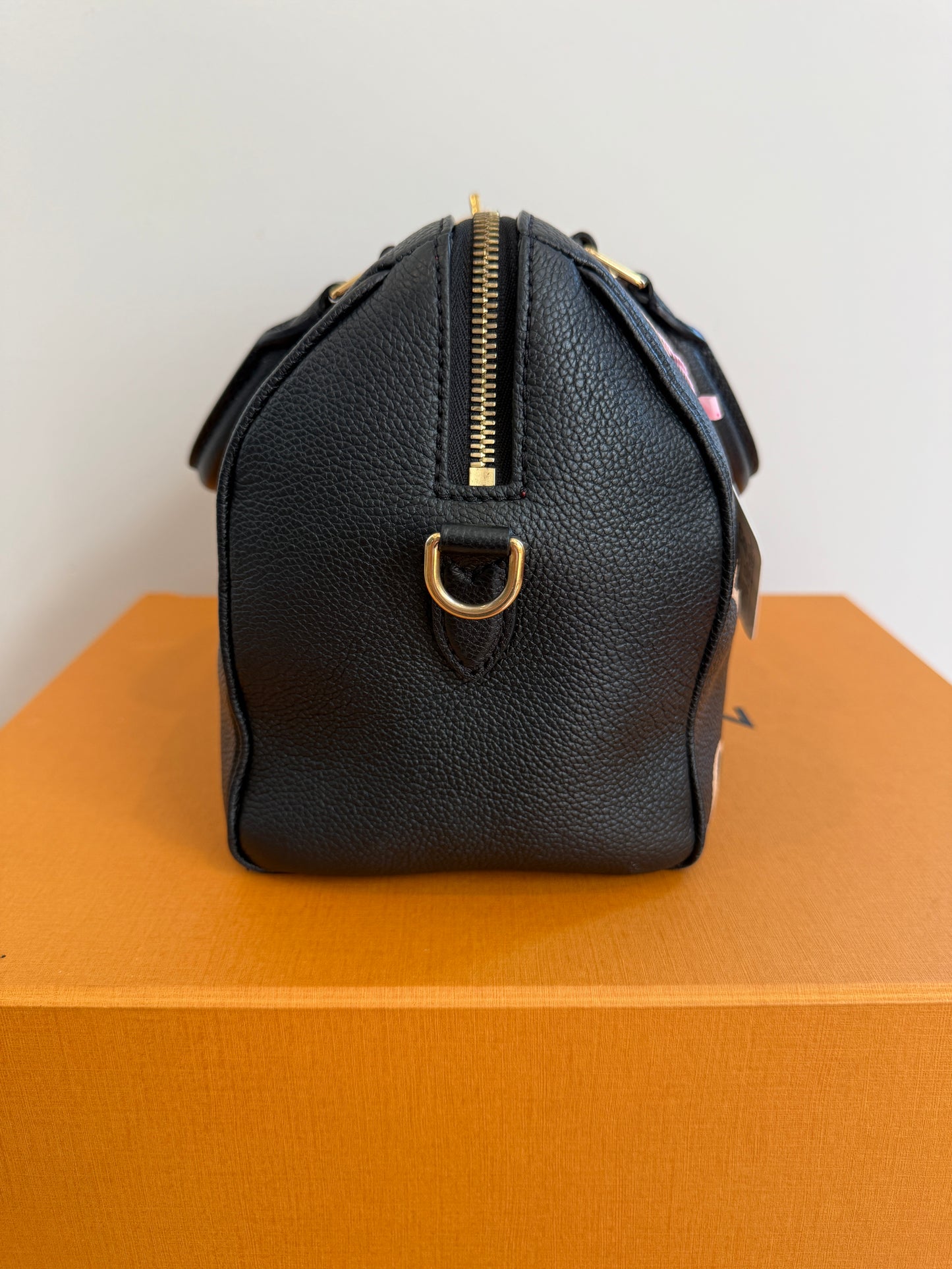 Louis Vuitton Speedy 25 Bicolor