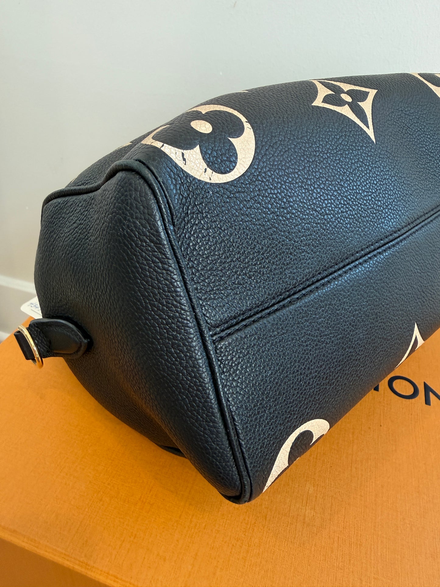 Louis Vuitton Speedy 25 Bicolor