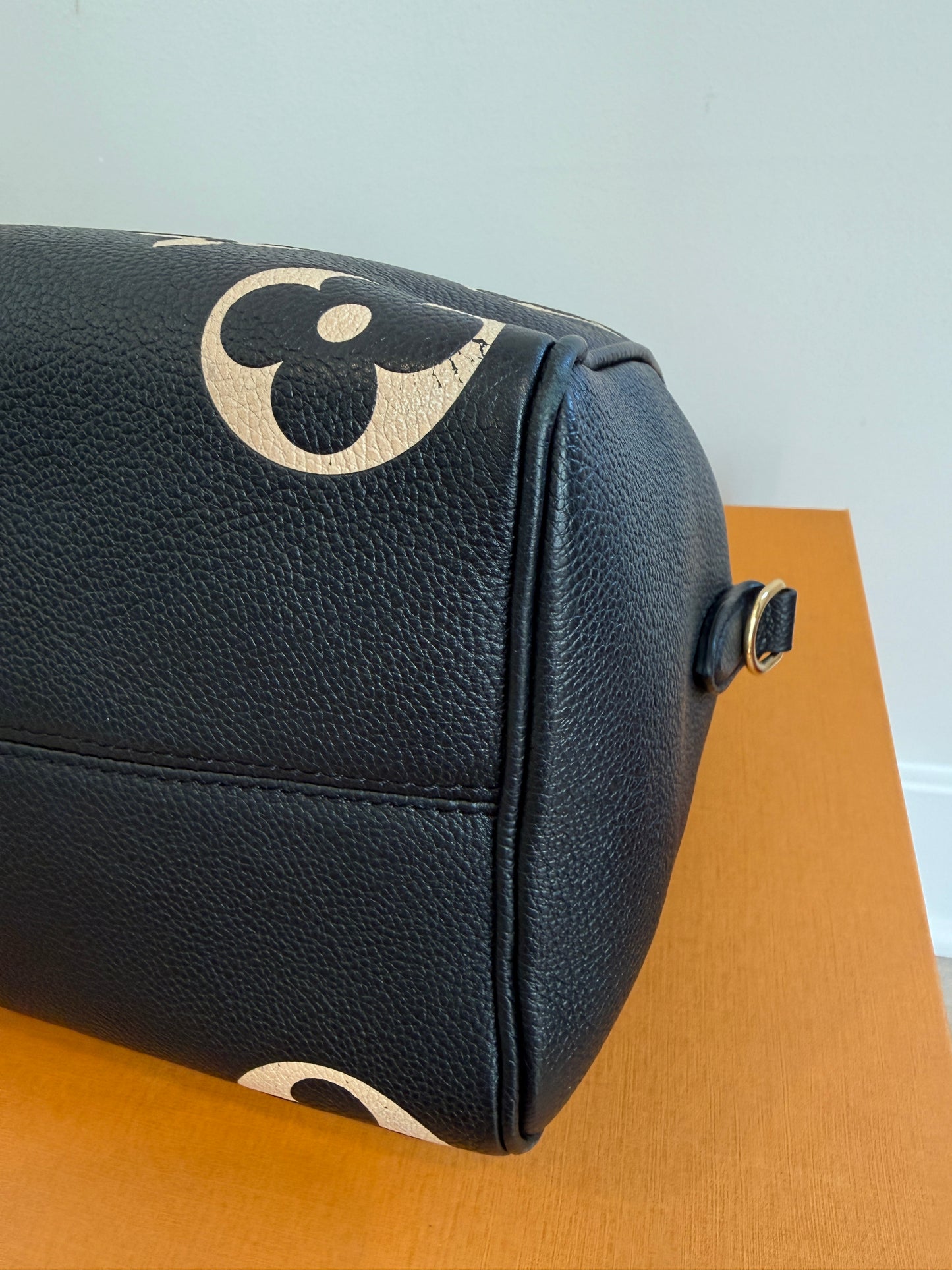 Louis Vuitton Speedy 25 Bicolor