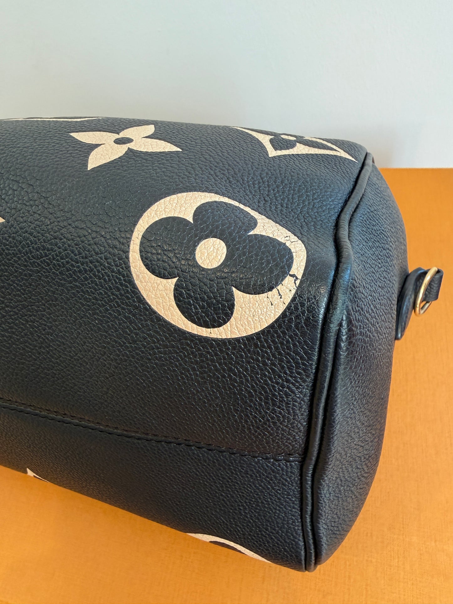 Louis Vuitton Speedy 25 Bicolor
