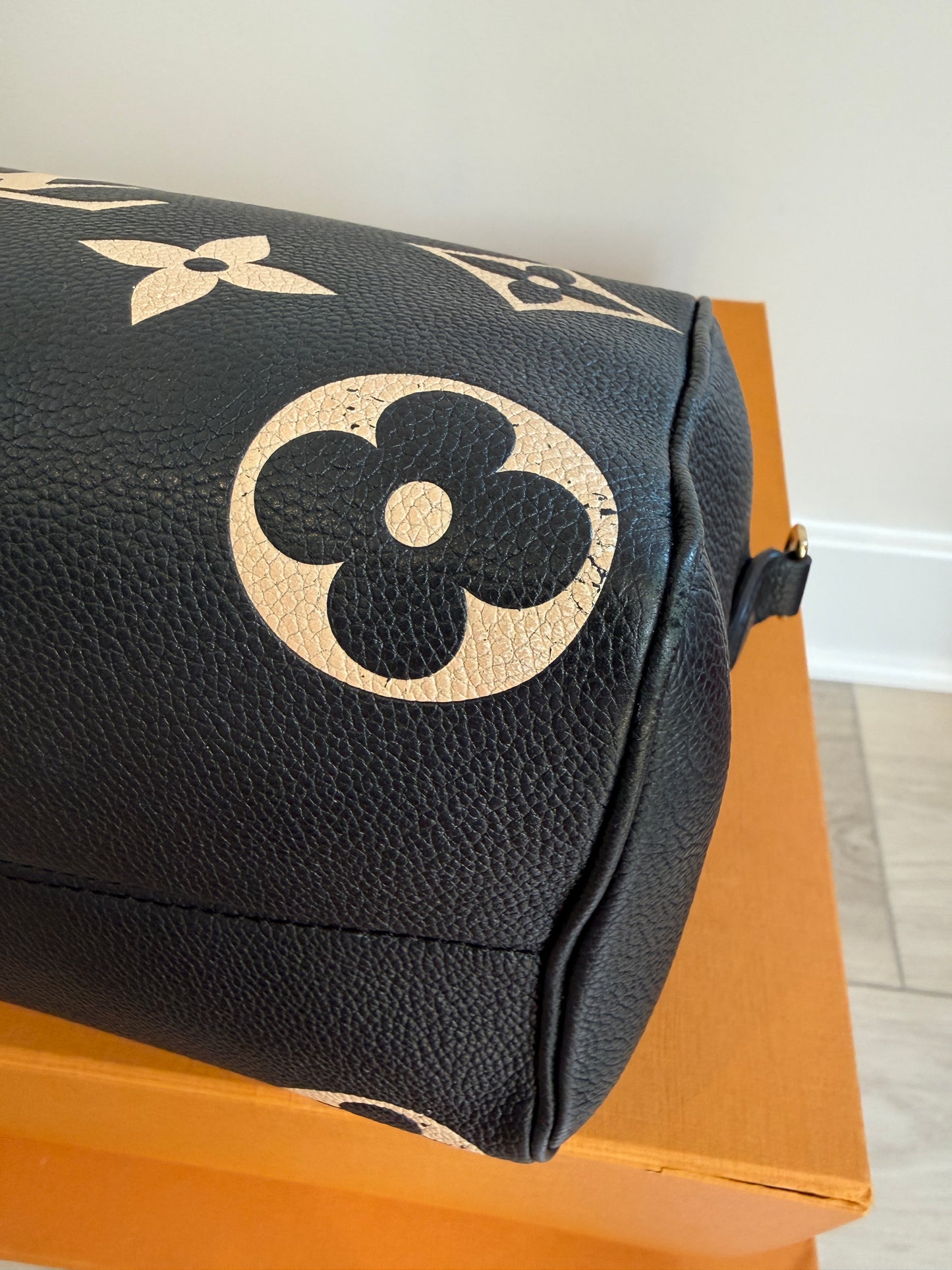 Louis Vuitton Speedy 25 Bicolor