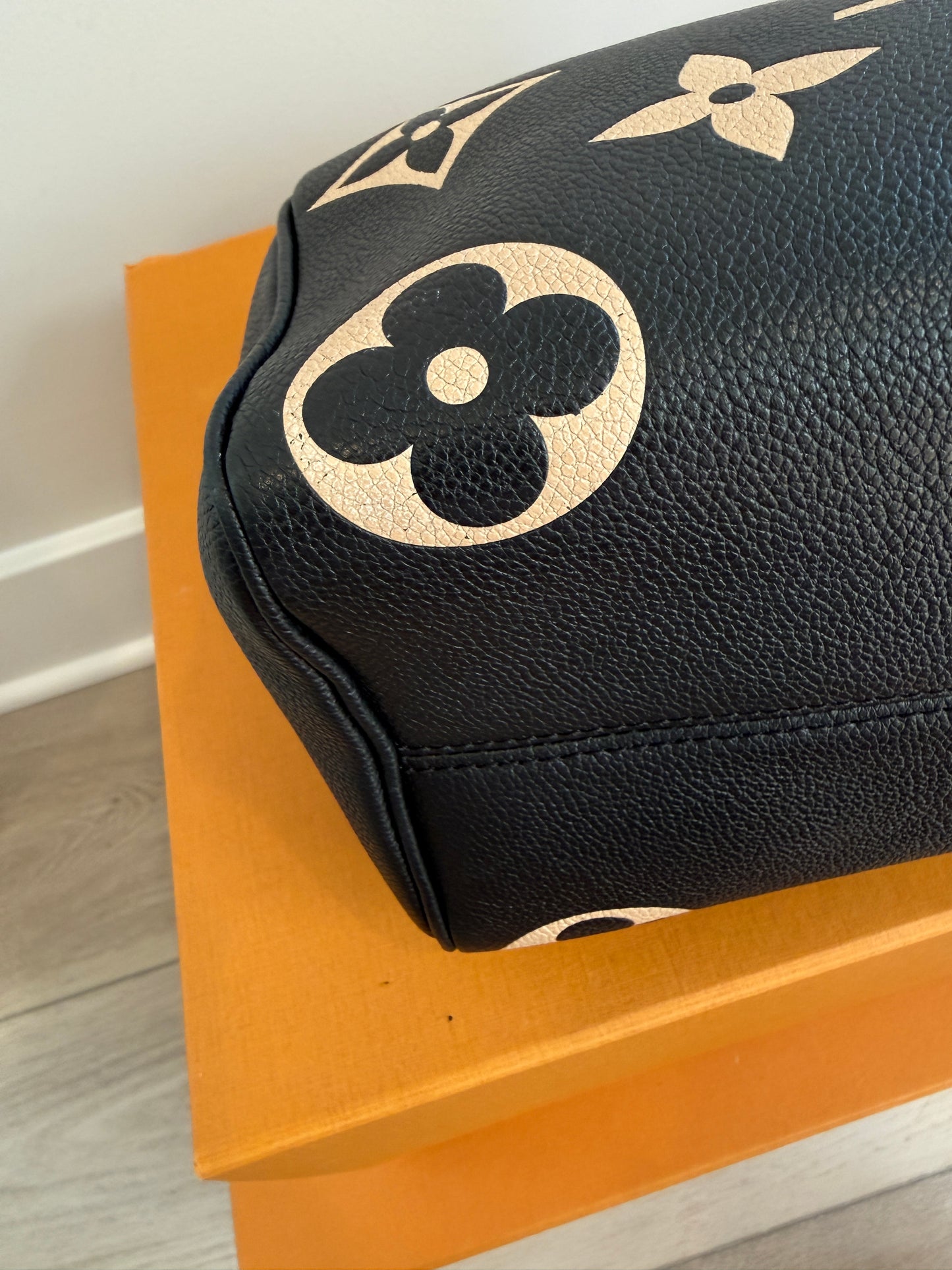 Louis Vuitton Speedy 25 Bicolor