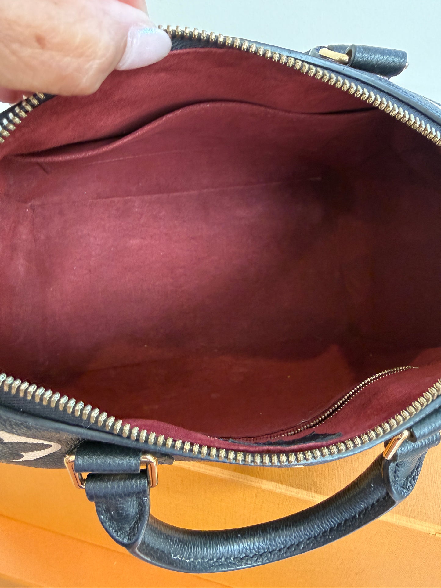 Louis Vuitton Speedy 25 Bicolor