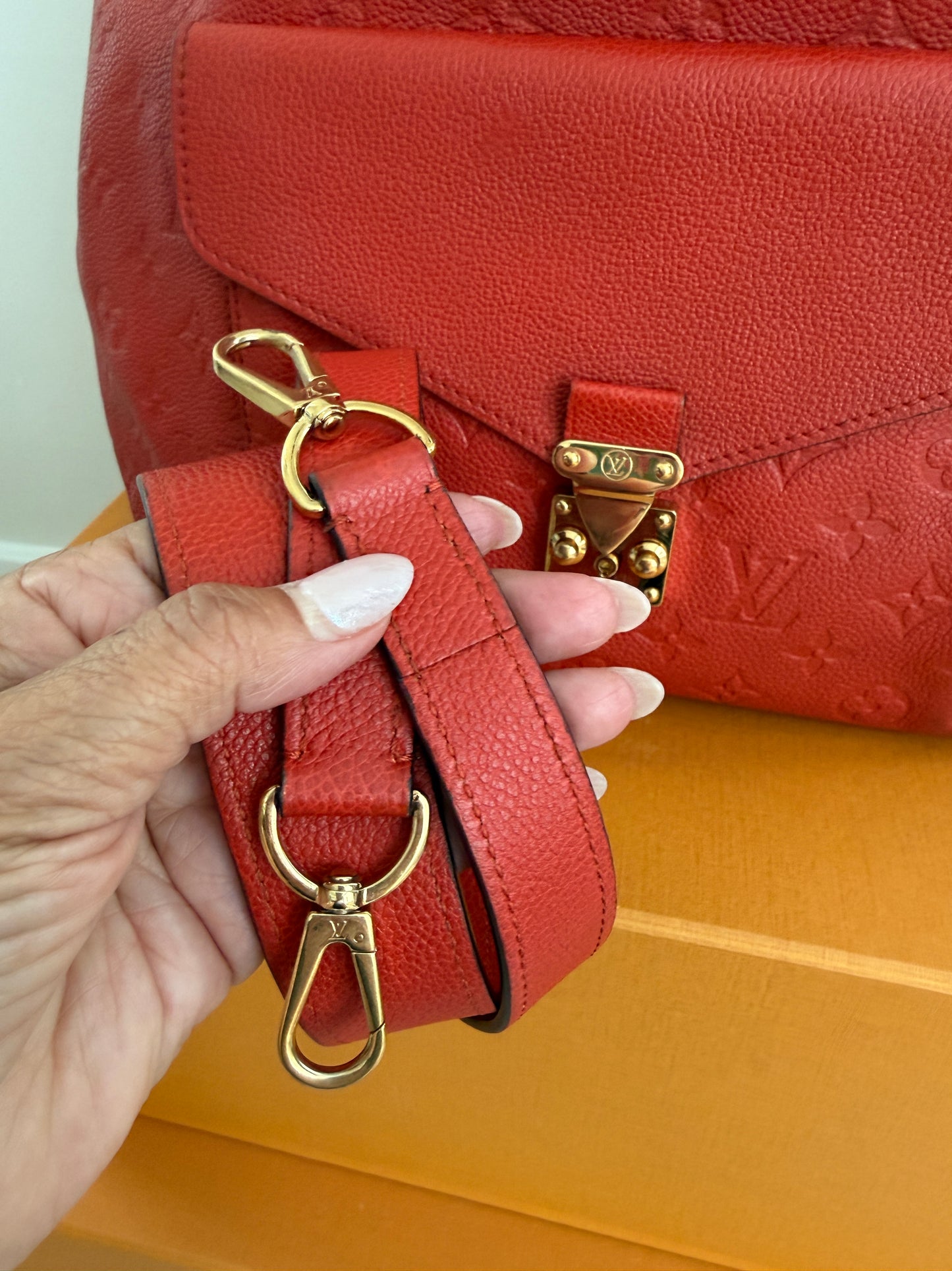 Louis Vuitton Metis Hobo