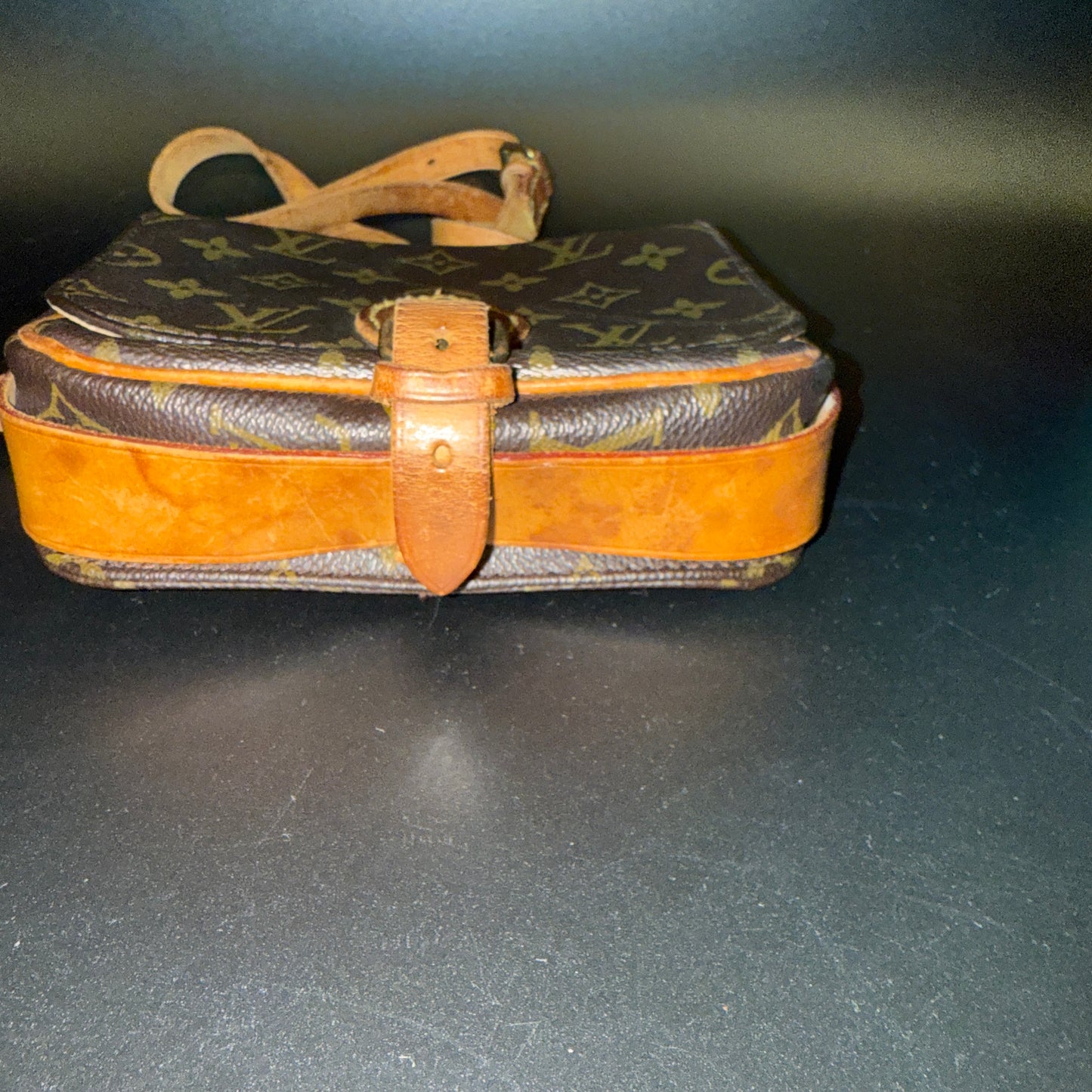 Louis Vuitton Cartouchiere PM