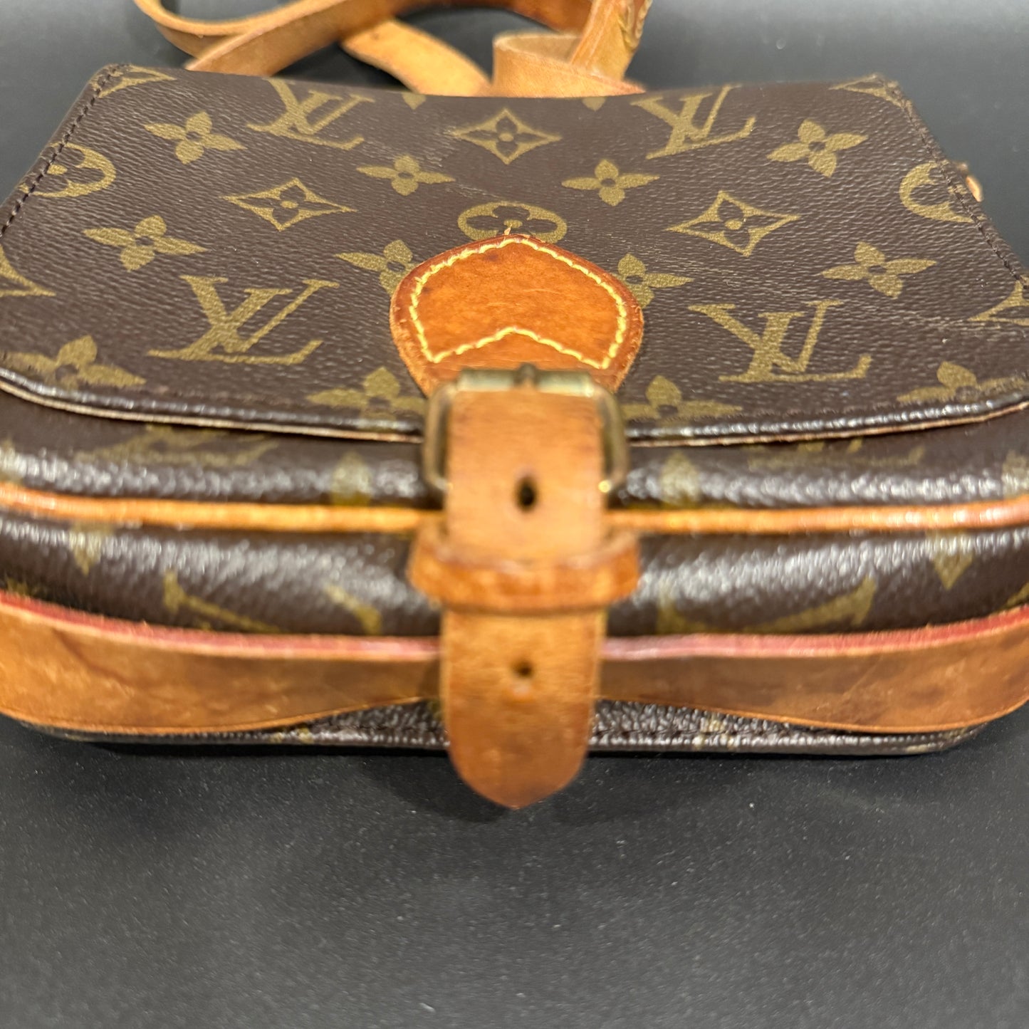 Louis Vuitton Cartouchiere PM