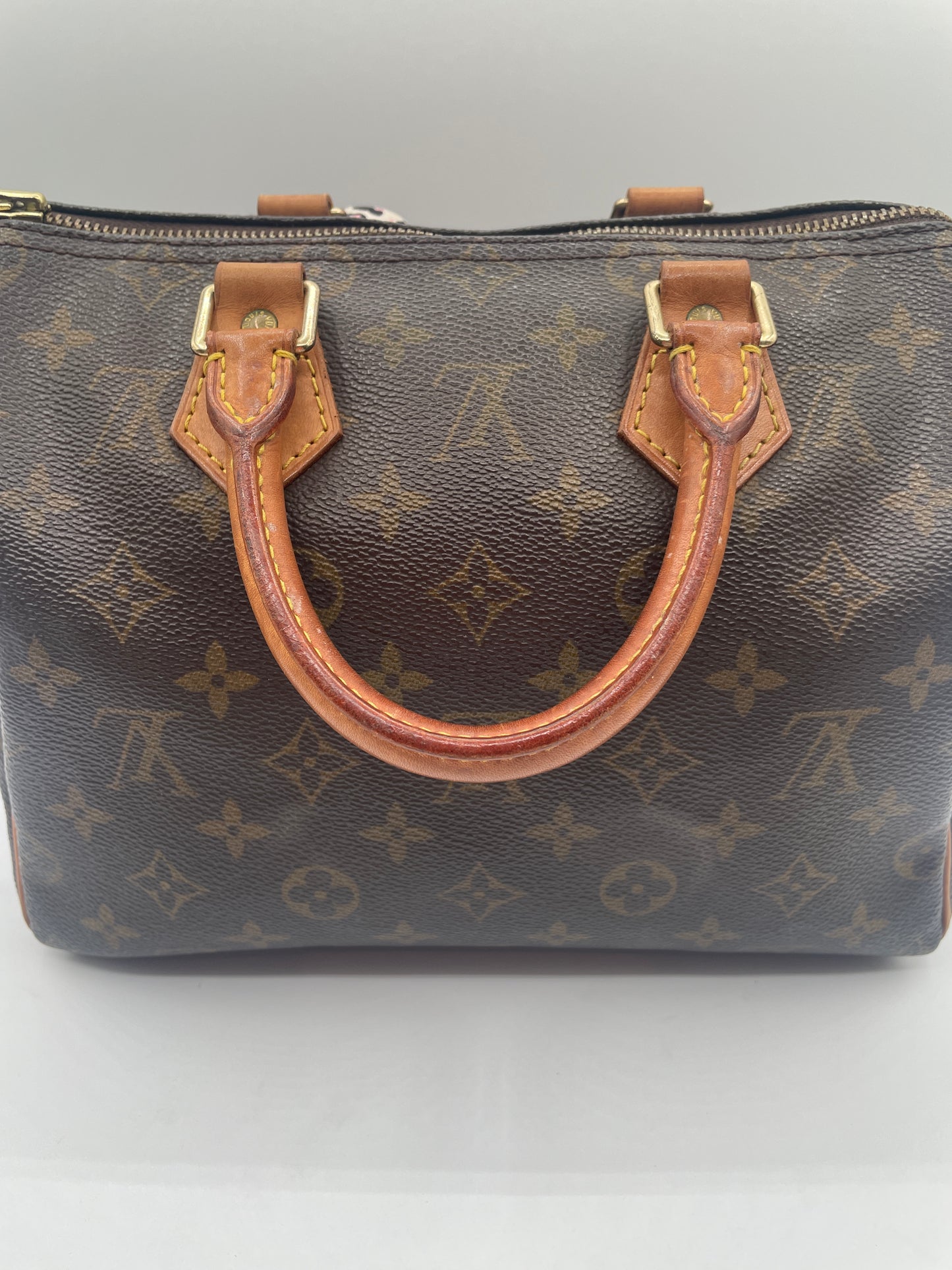 LOUIS VUITTON SPEEDY 25