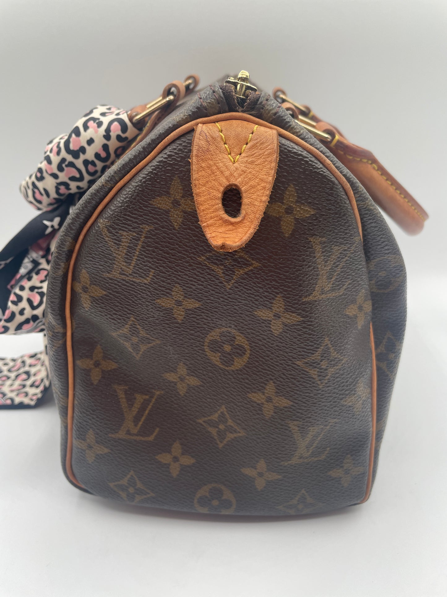 LOUIS VUITTON SPEEDY 25