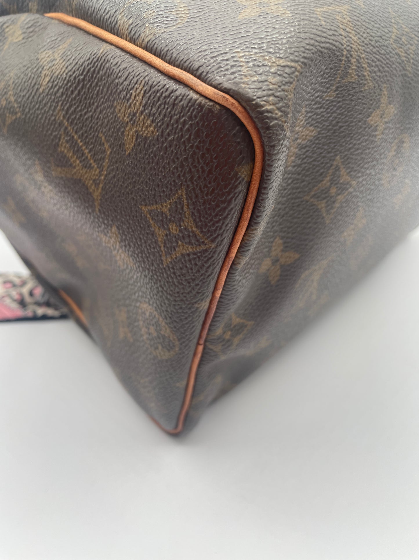 LOUIS VUITTON SPEEDY 25