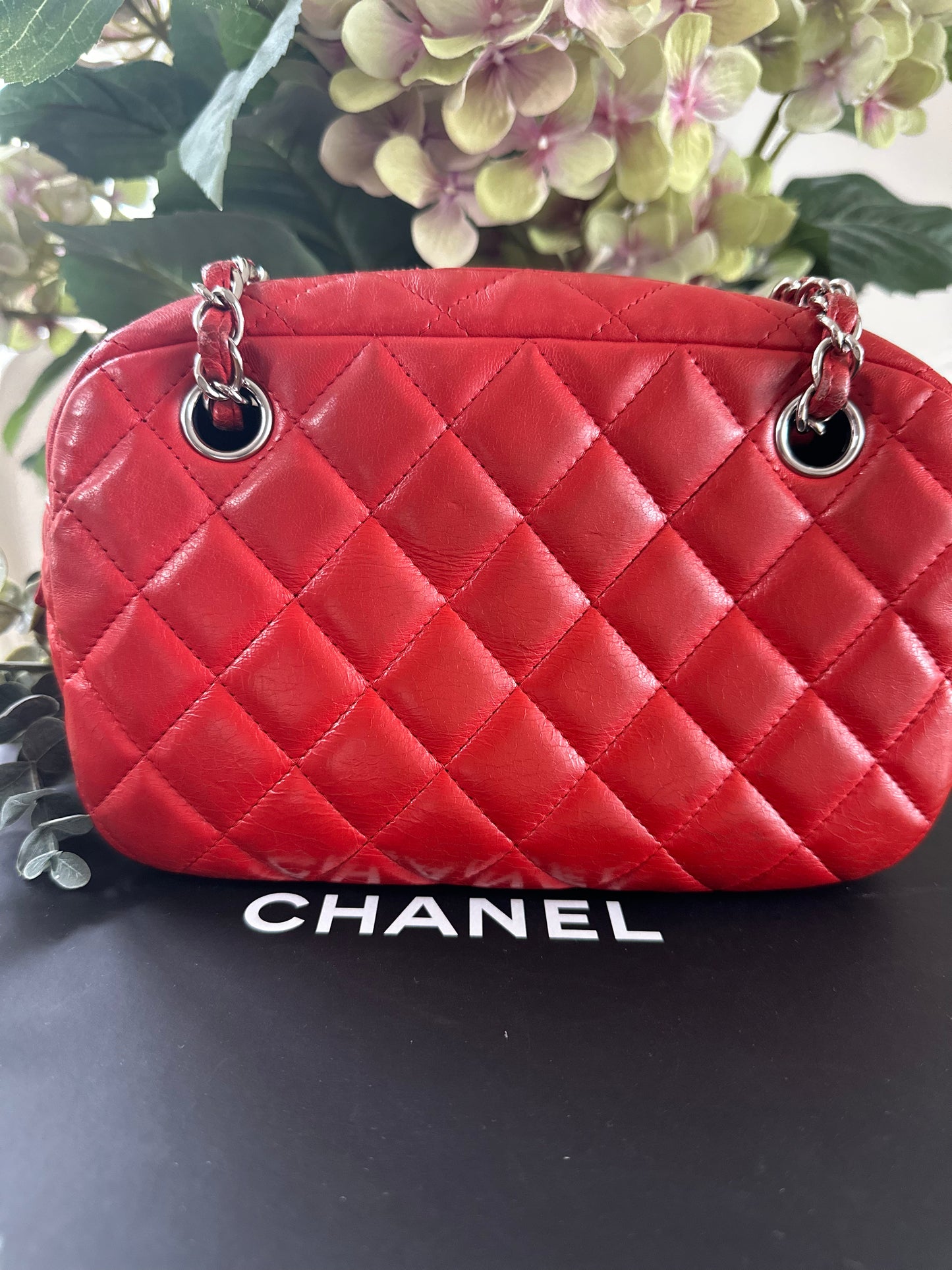 Chanel Camera Bag