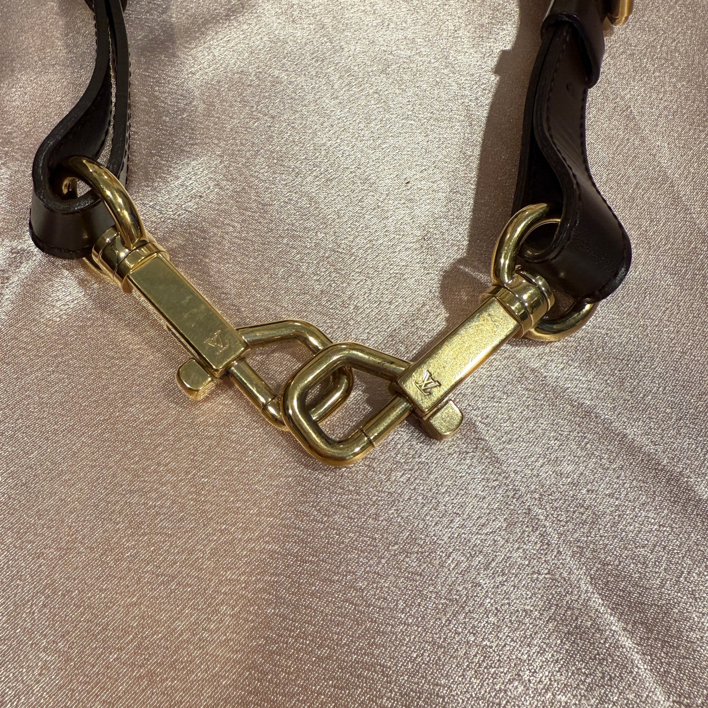 Louis Vuitton Trevi GM