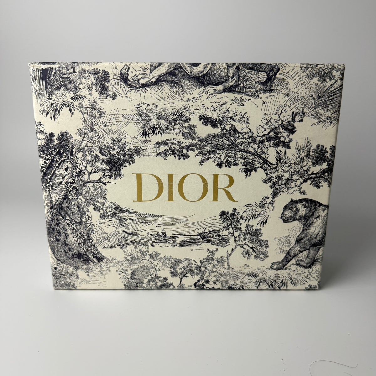 Dior Lady Mini